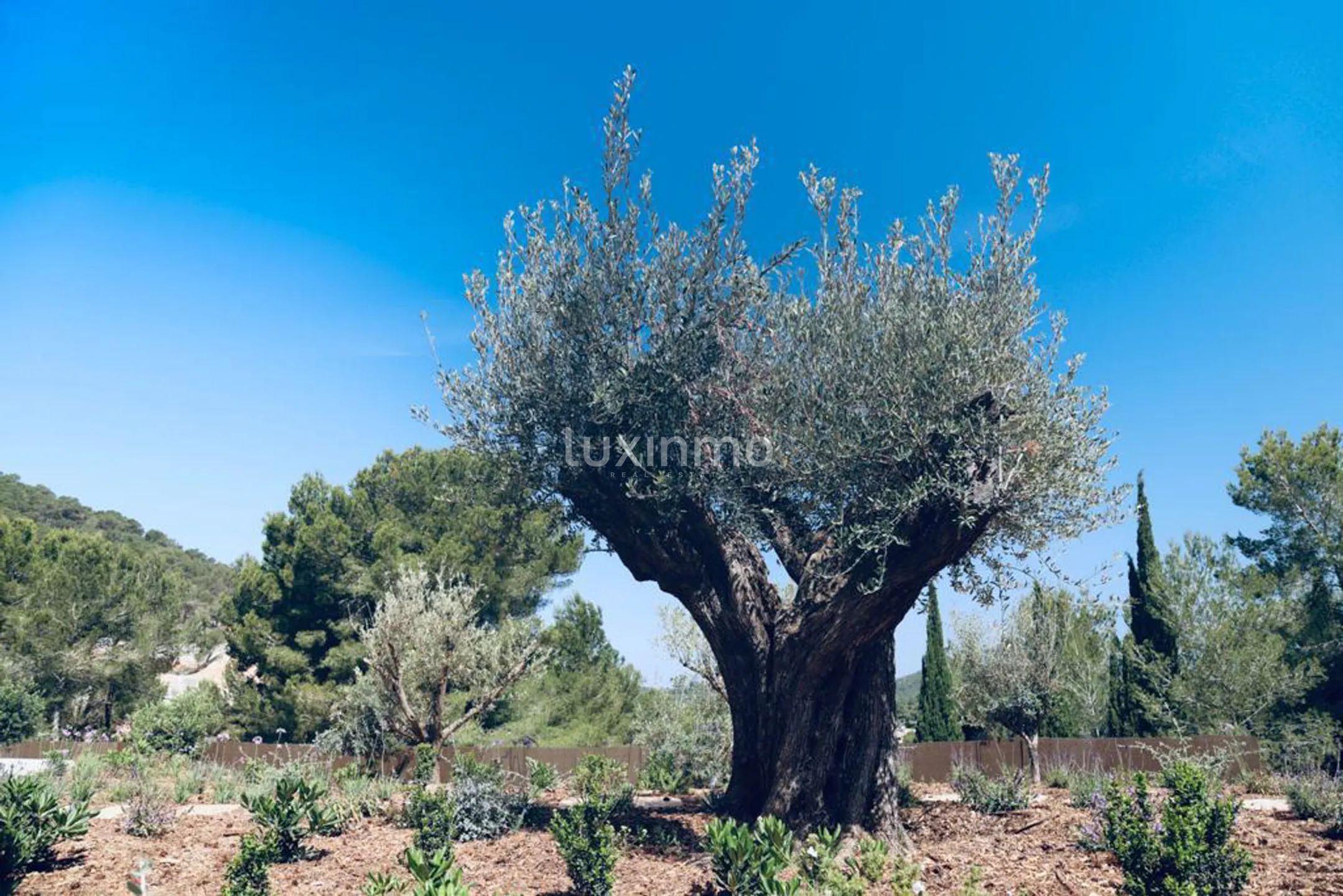 Wyjątkowa rezydencja o nowoczesnej architekturze — photo 25