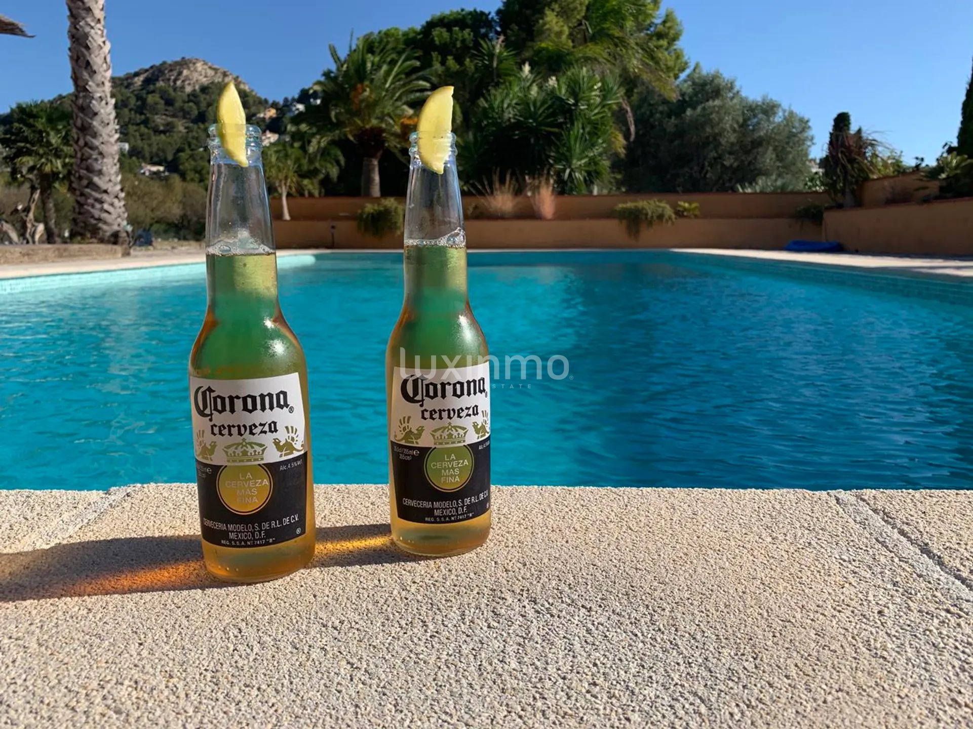 Large finca for sale in Denia on a 10000m2 plot — photo 24