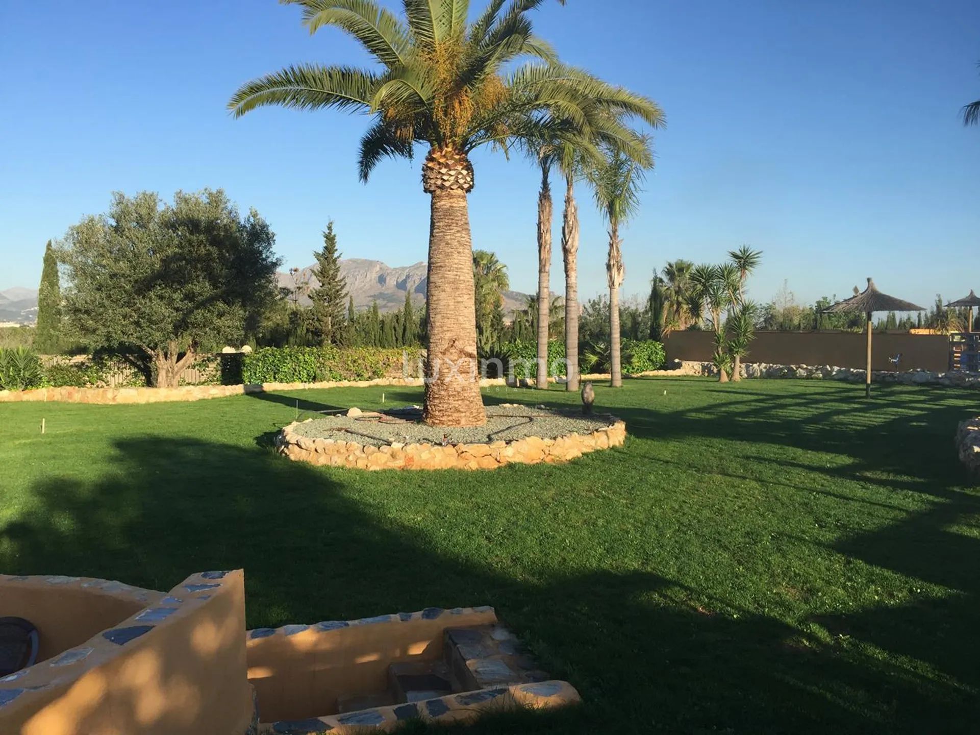 Stor finca till salu i Denia på en 10000m2 stor tomt — photo 20