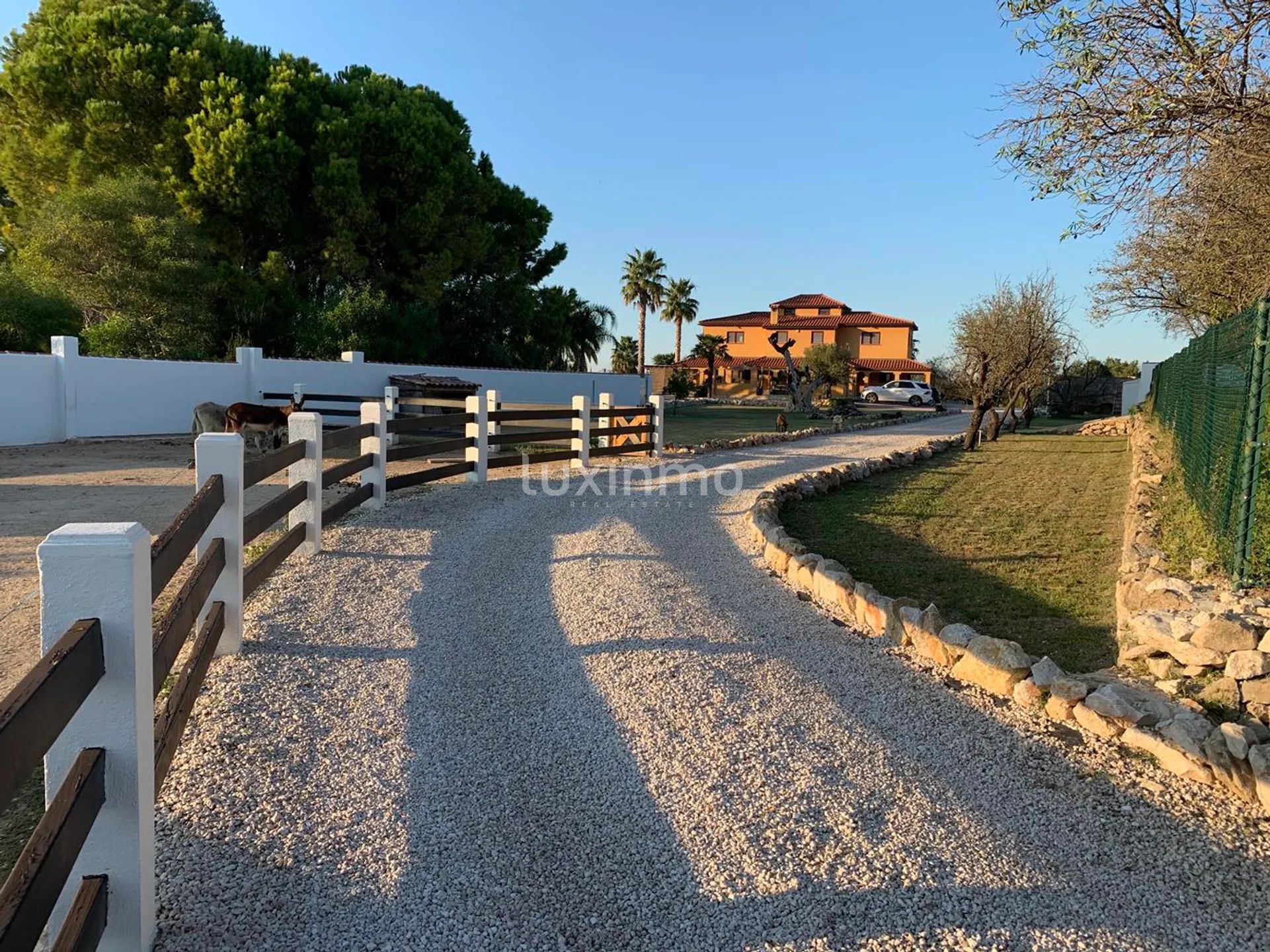 Stor finca till salu i Denia på en 10000m2 stor tomt — photo 17