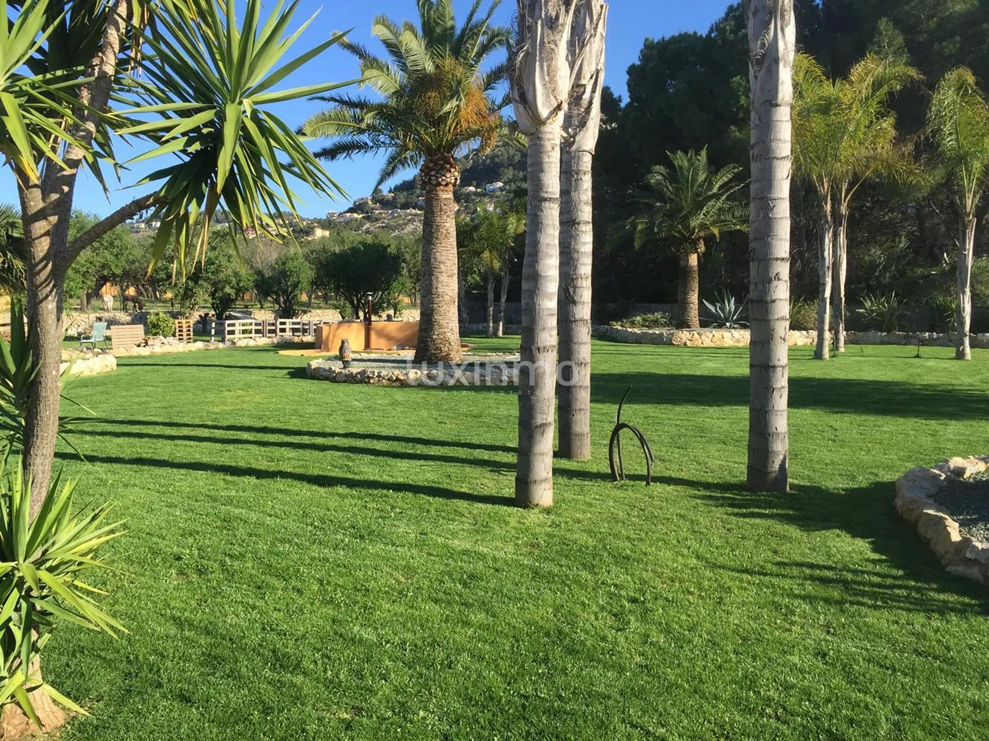 Stor finca till salu i Denia på en 10000m2 stor tomt — photo 21