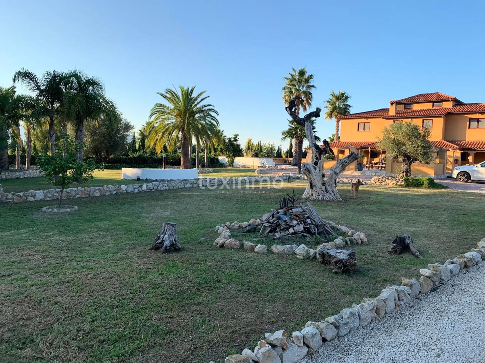 Stor finca till salu i Denia på en 10000m2 stor tomt — photo 4