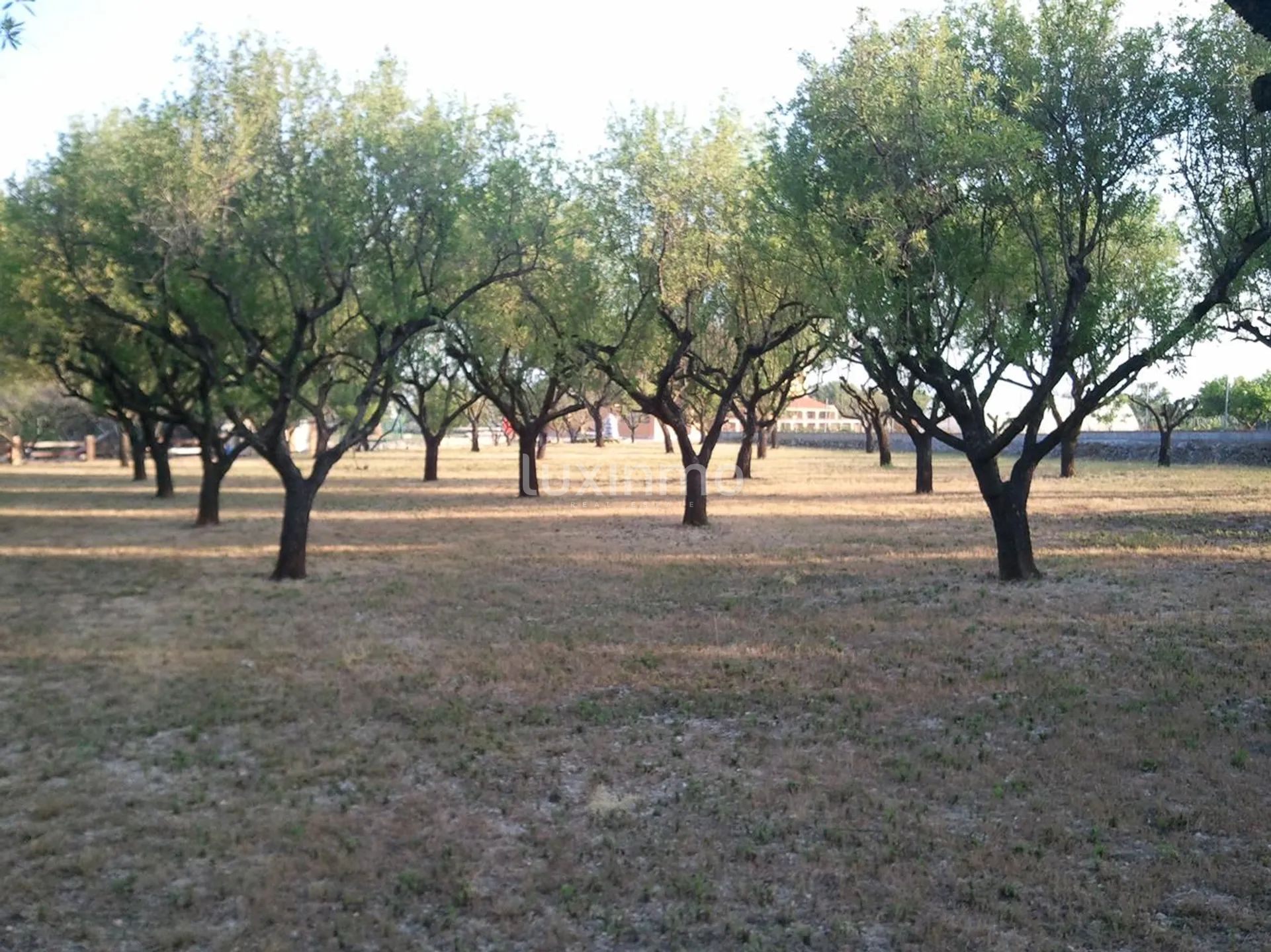 Große Finca zum Verkauf in Denia auf einem 10000m2 Grundstück — photo 12