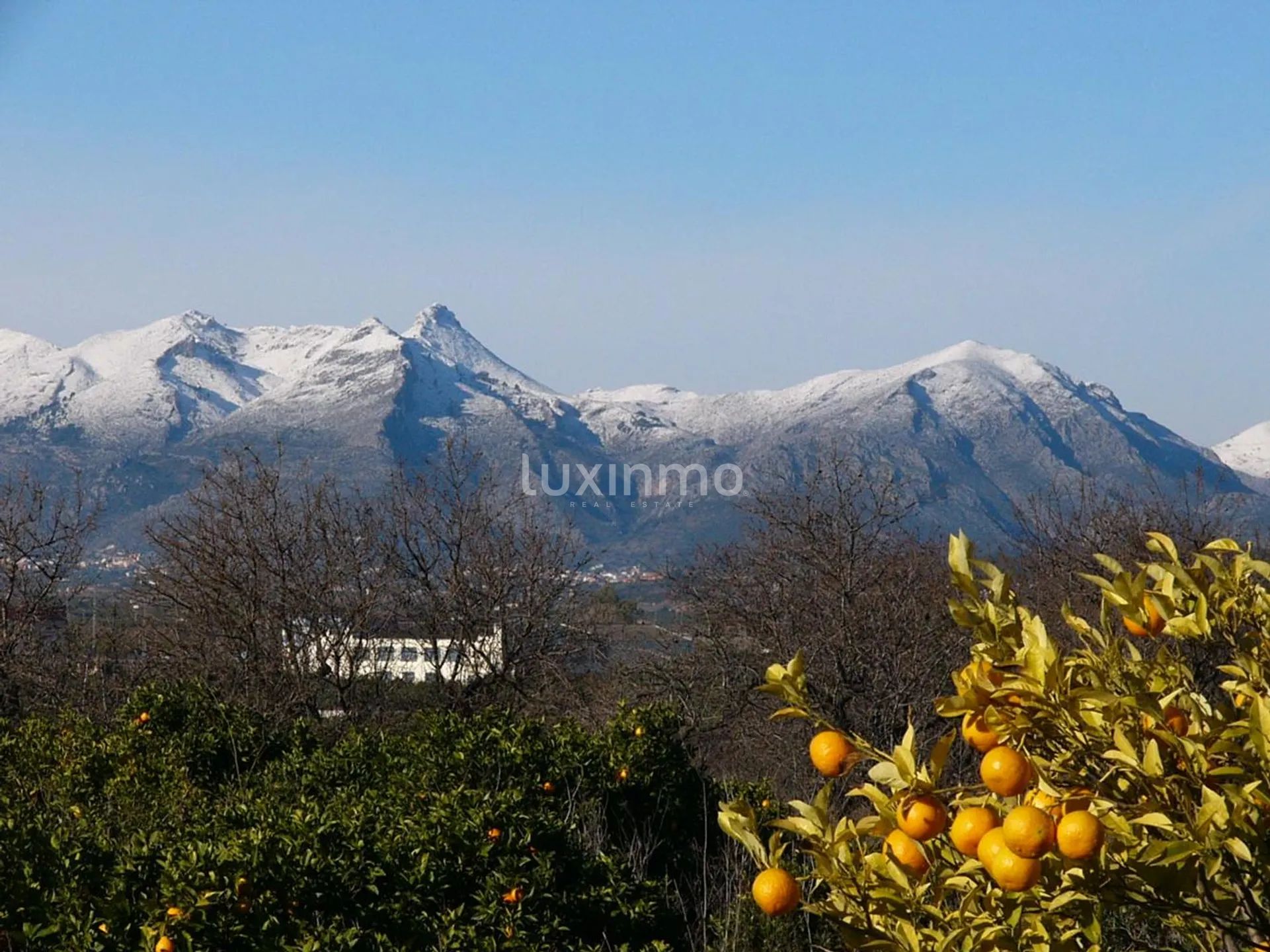 Große Finca zum Verkauf in Denia auf einem 10000m2 Grundstück — photo 11