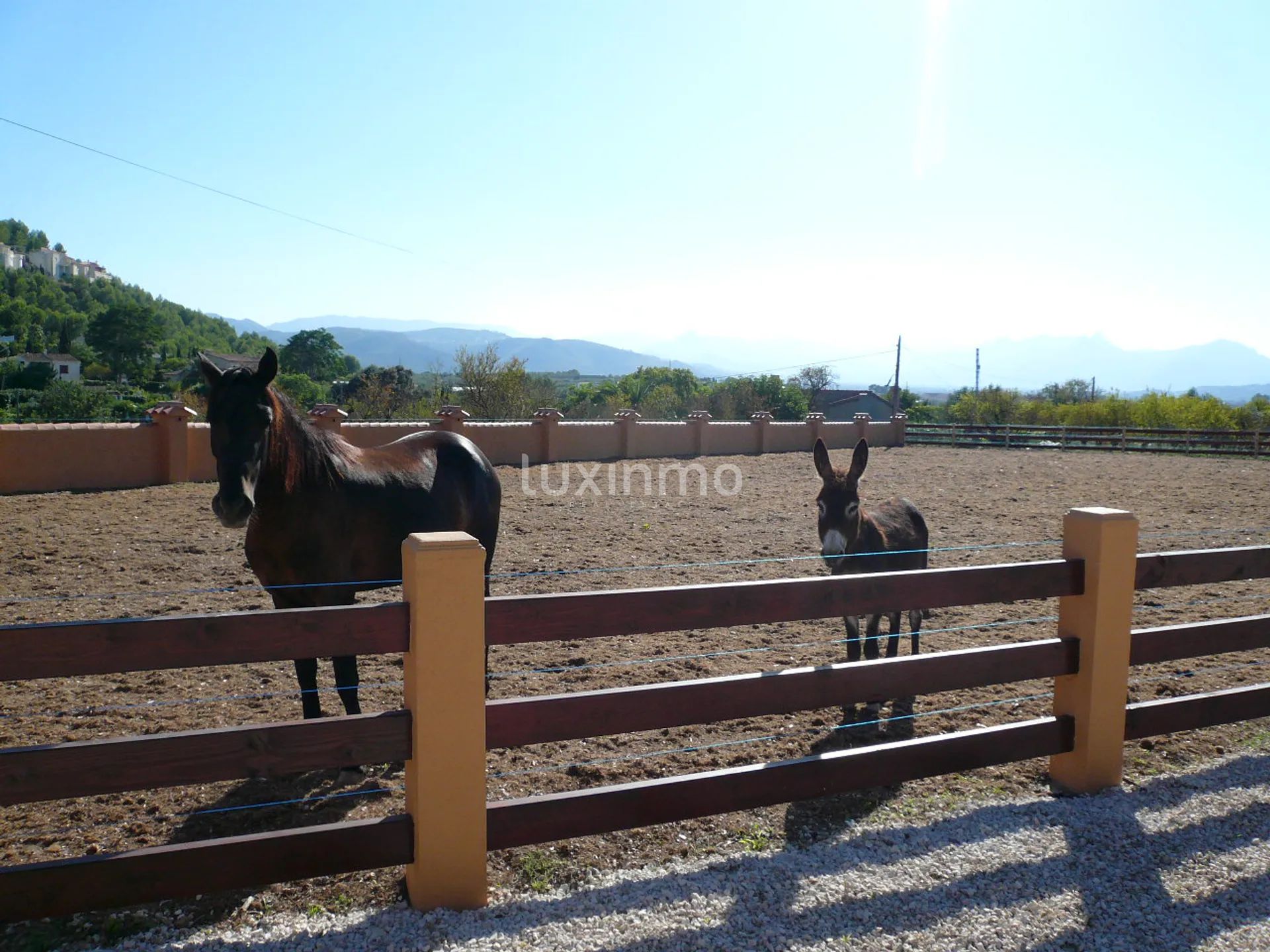 Große Finca zum Verkauf in Denia auf einem 10000m2 Grundstück — photo 14
