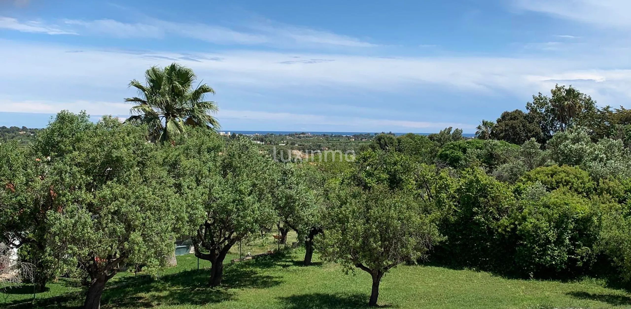 Stor finca till salu i Denia på en 10000m2 stor tomt — photo 10