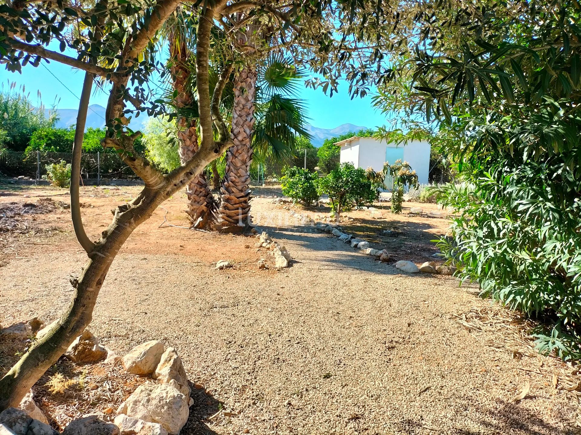 Well maintained finca with lots of charm and privacy — photo 24