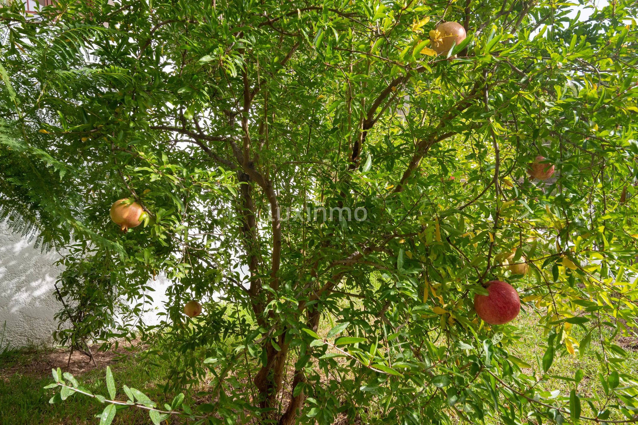 Villa with sea views for sale in Sierra de Altea — photo 59