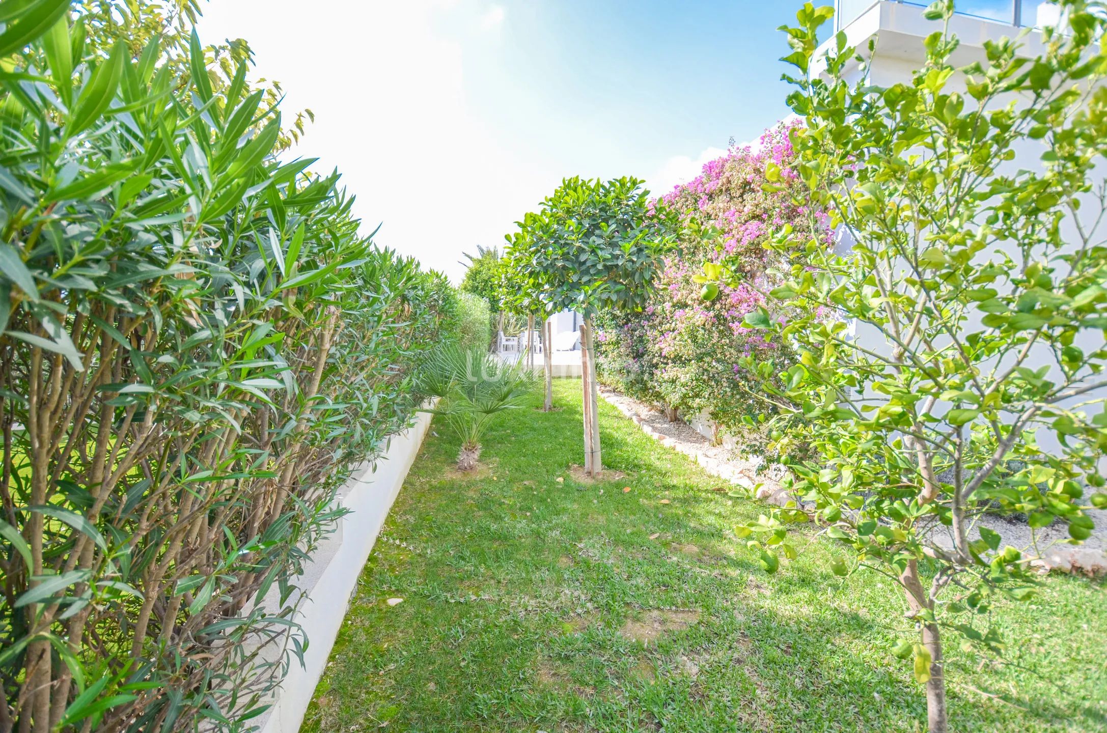 Solig och modern villa med havsutsikt — photo 38