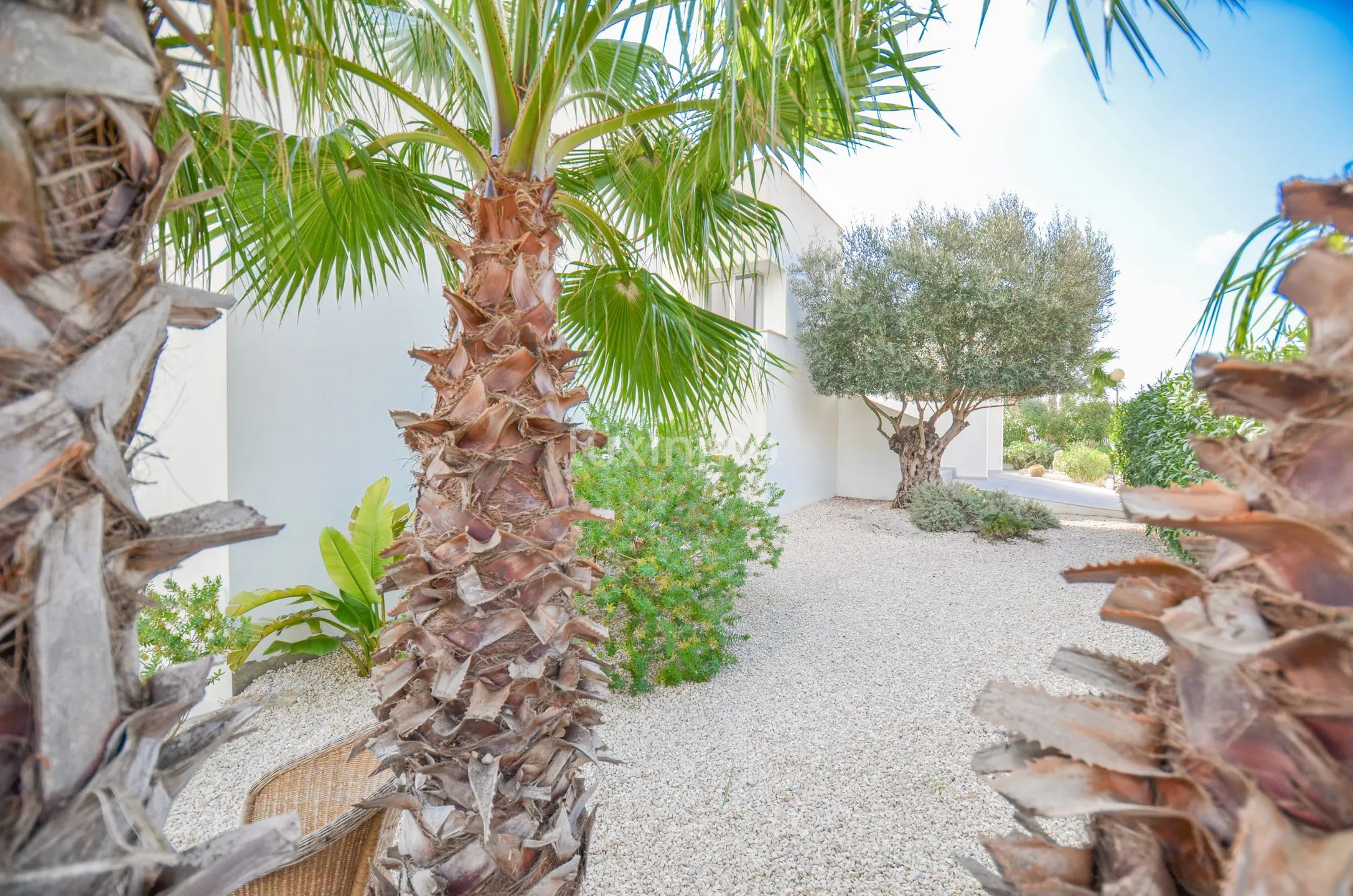 Solig och modern villa med havsutsikt — photo 31