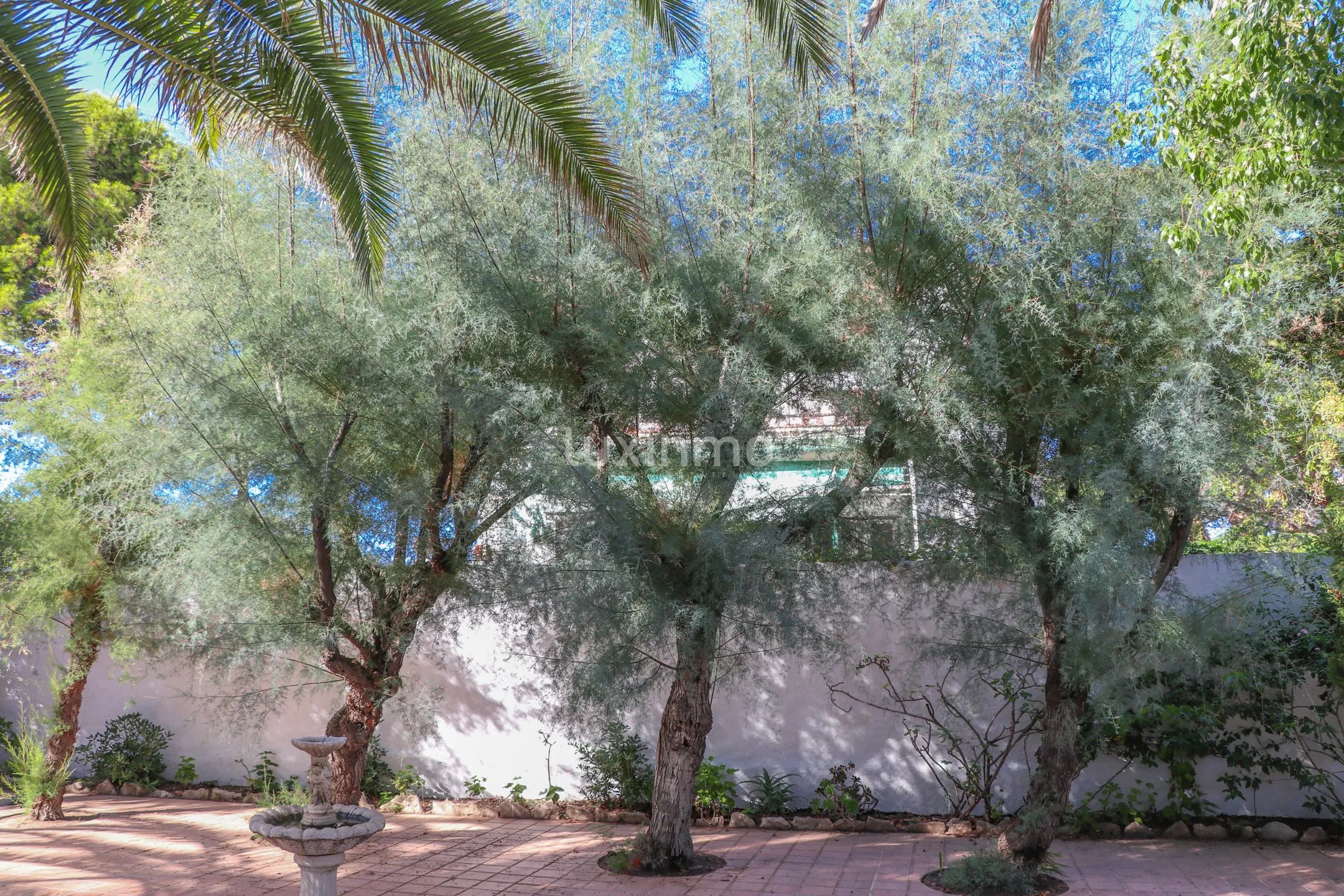 Large rustic villa just 40m from the seaside and walking distance to town — photo 47