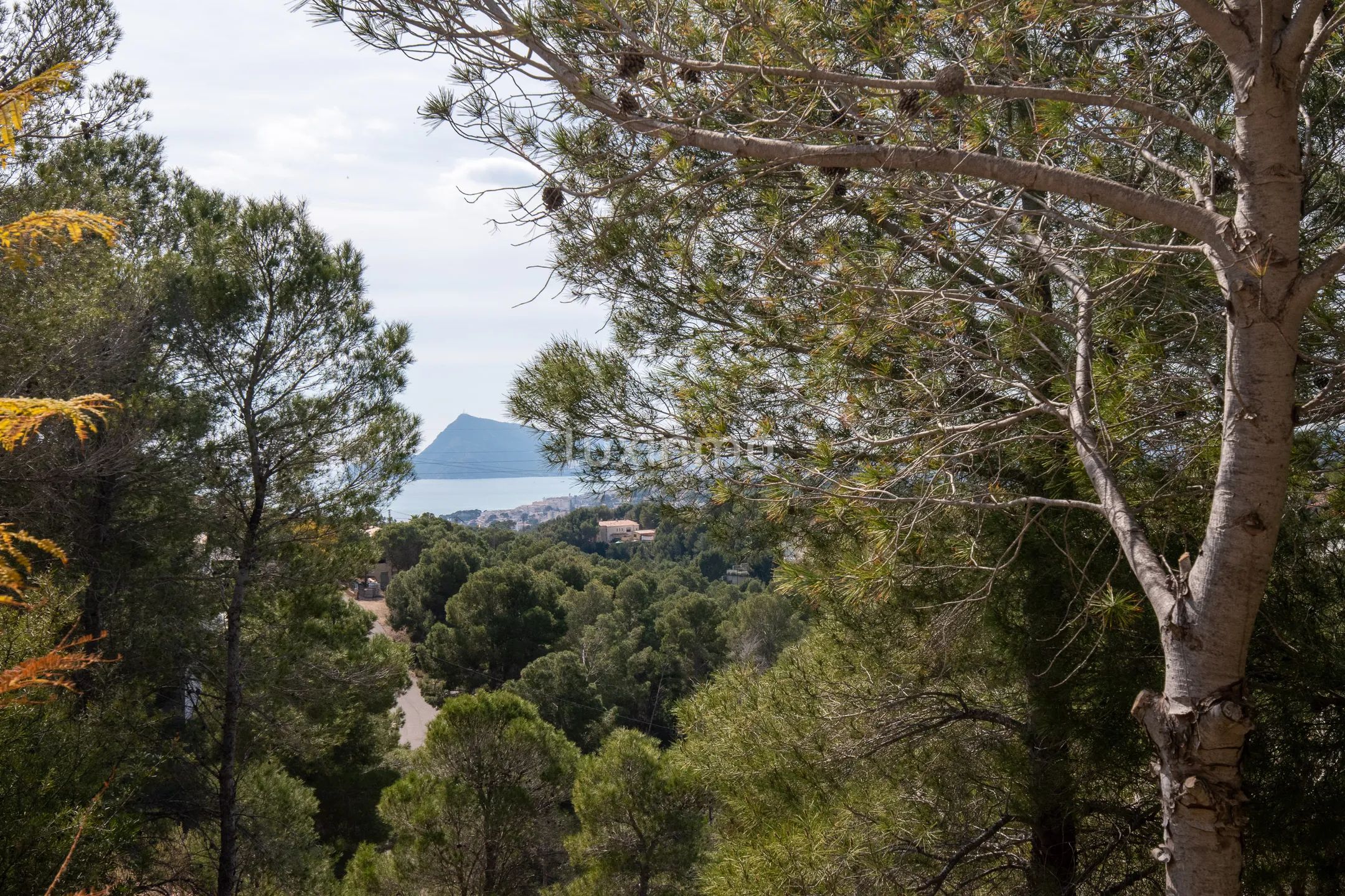 Plot with licence and project for sale with sea views — photo 3