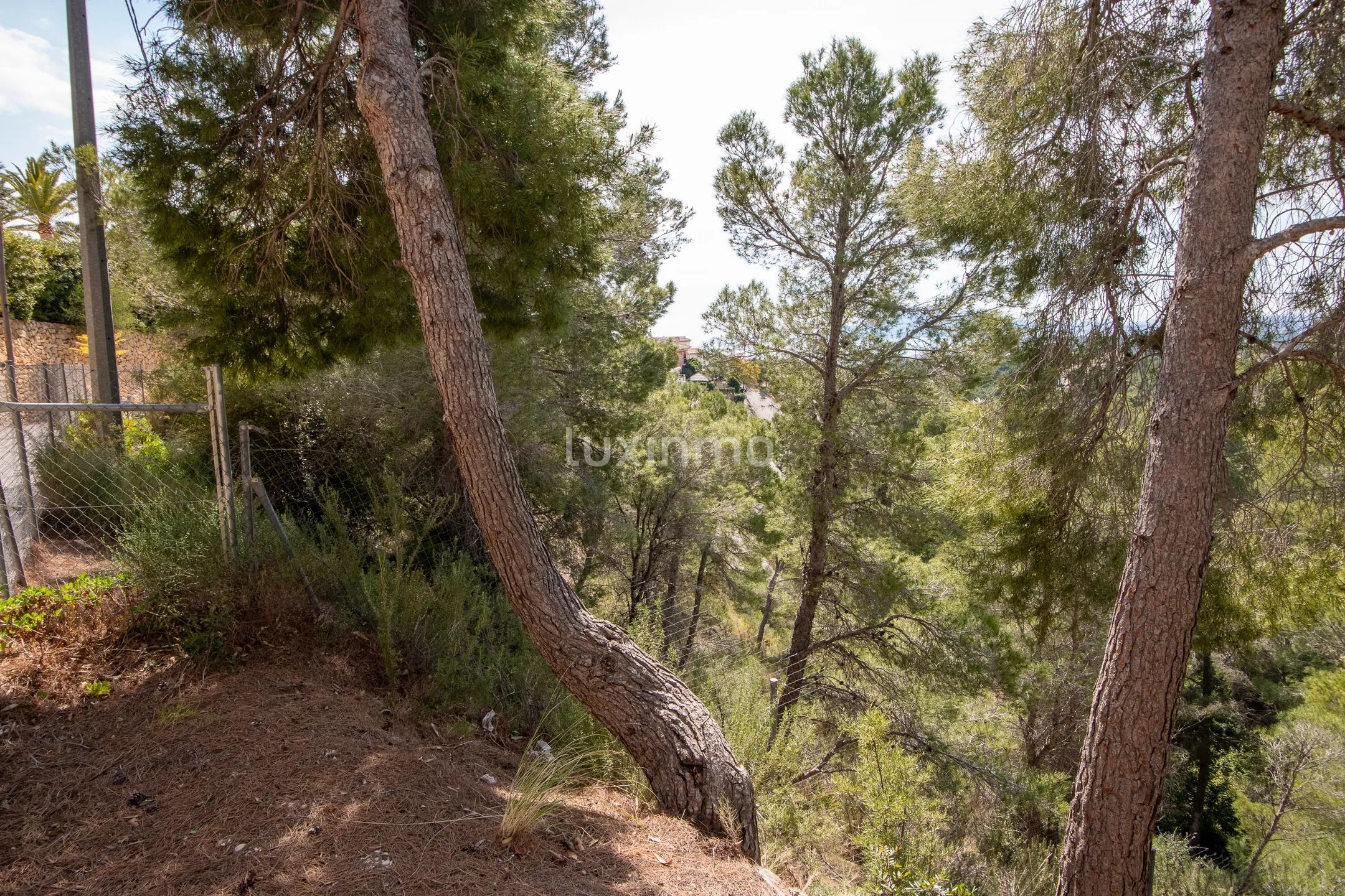 Plot with licence and project for sale with sea views — photo 4