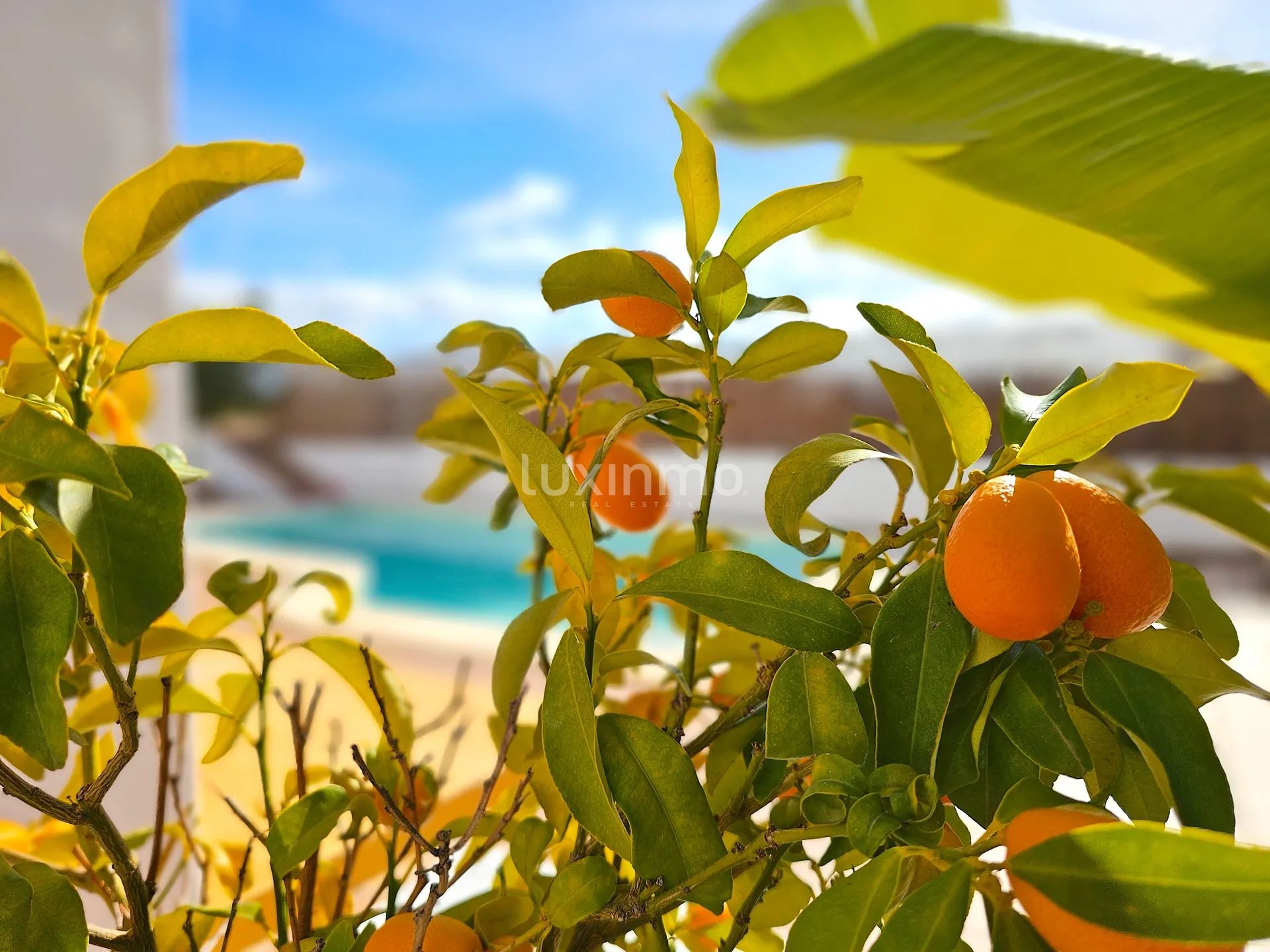 Se vende chalet con licencia turística cerca de Sant Rafael — photo 55