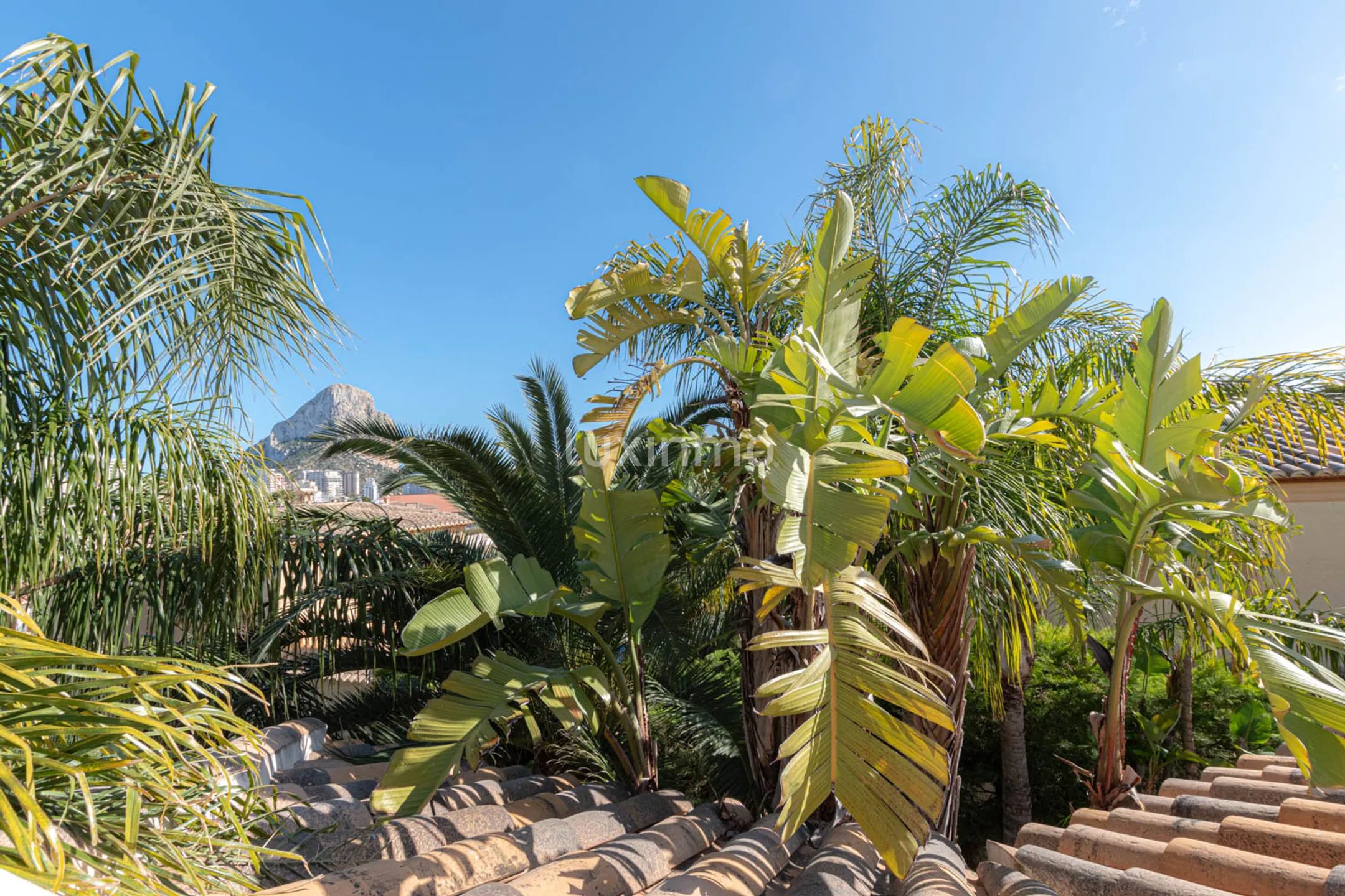 Отдельно стоящий дом с частным бассейном и видом на горы в Кальпе — photo 29