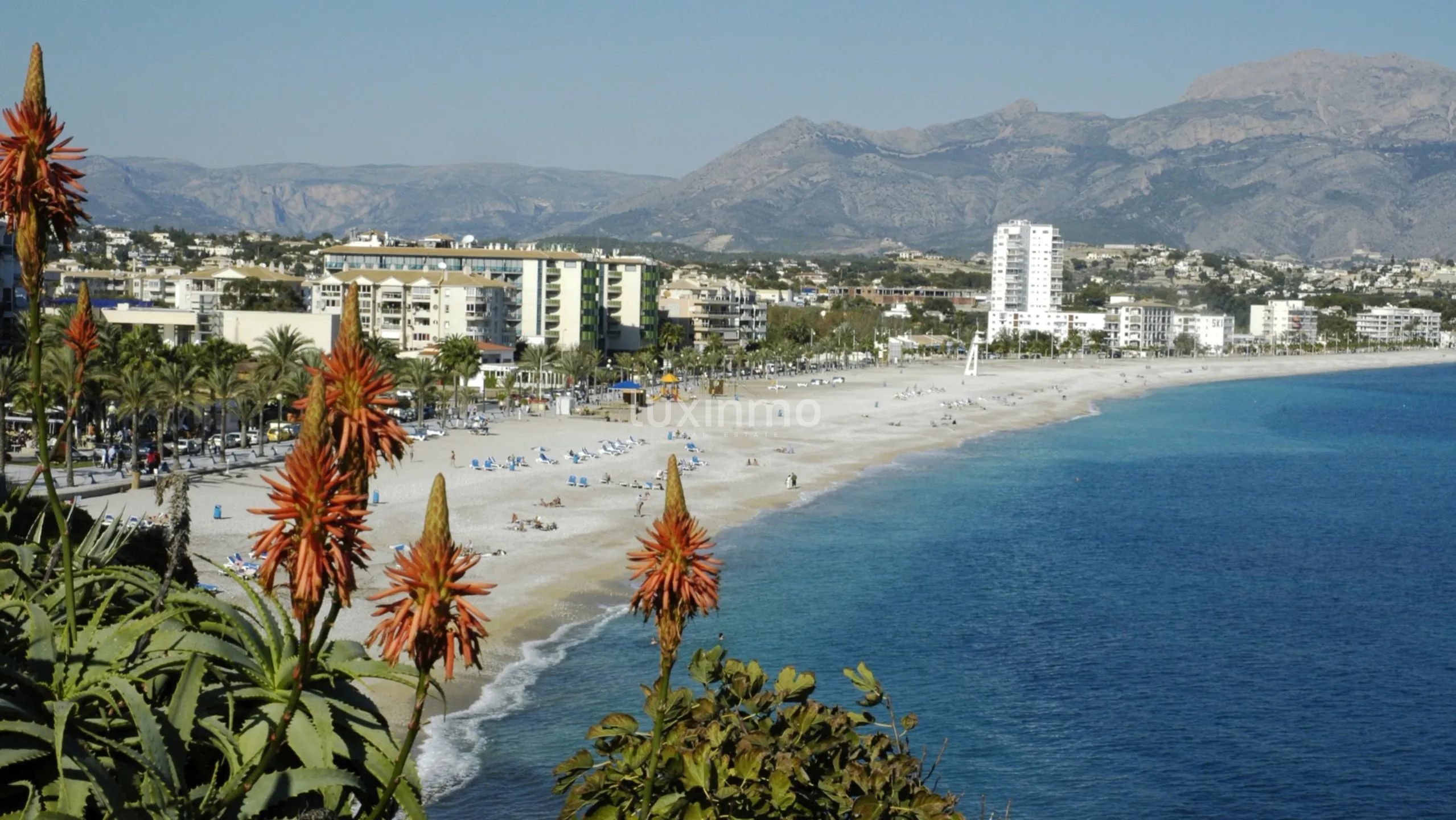 3 penthouses and a commercial premise in the centre of Albir for sale — photo 18