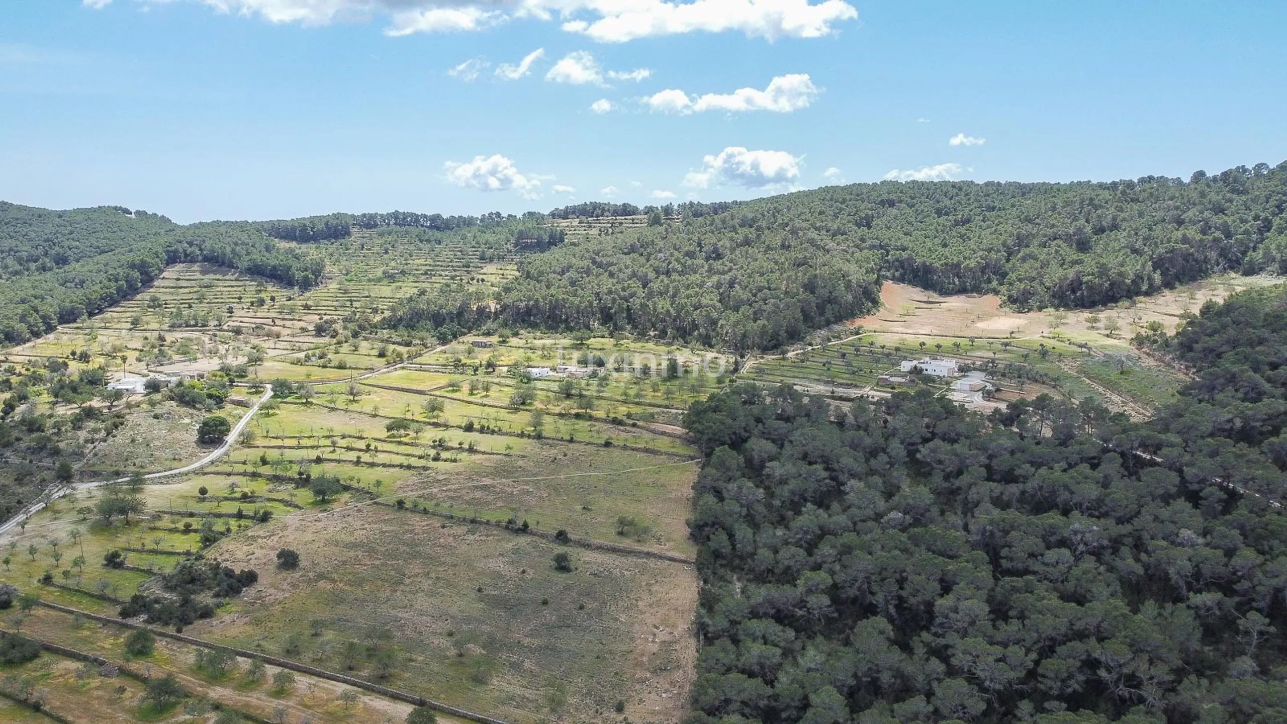 Plot for sale with project presented in Sant Rafel de Sa Creu — photo 5