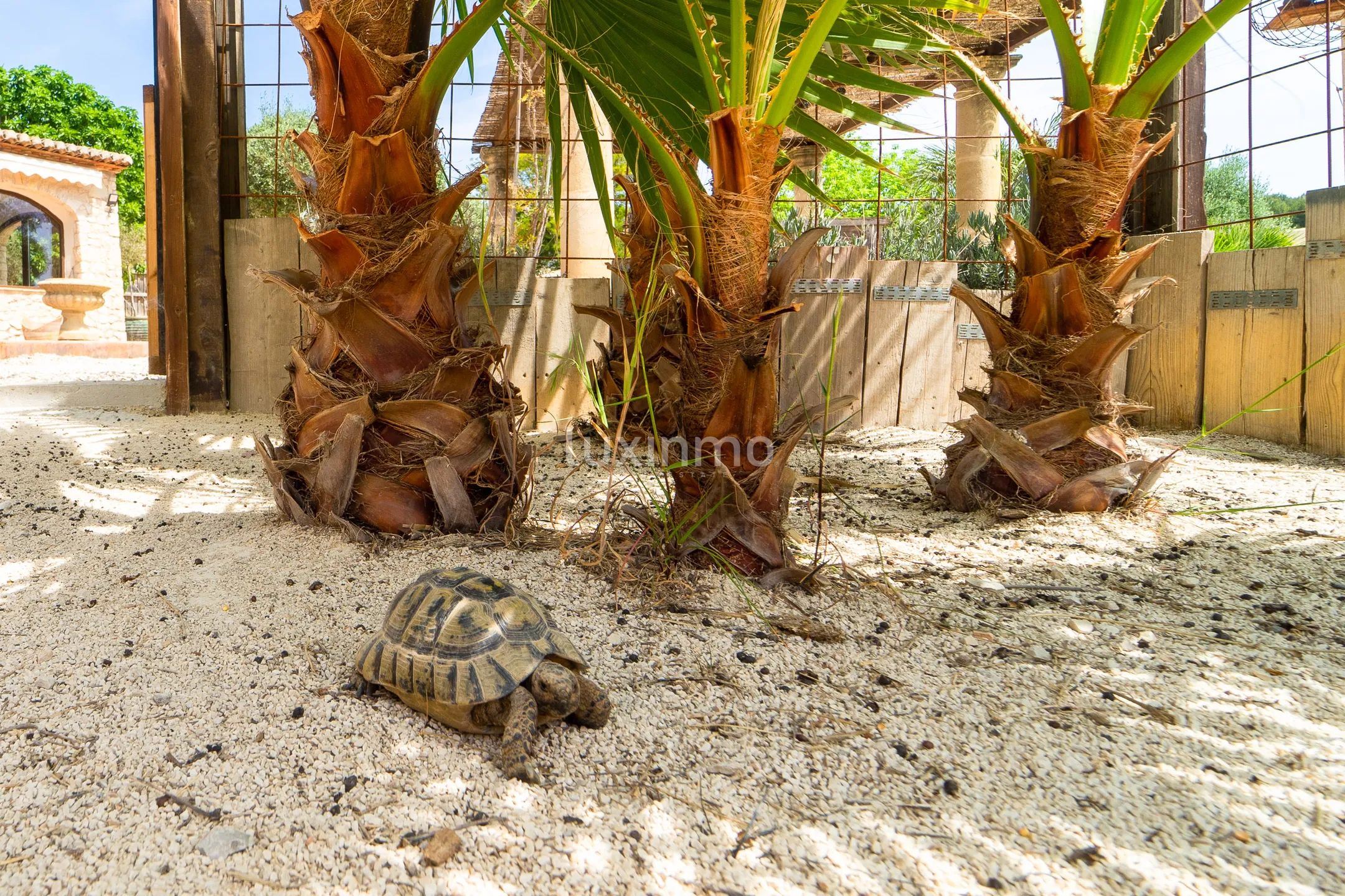Vakker rustikk enebolig med fjellutsikt og nær elven — photo 59