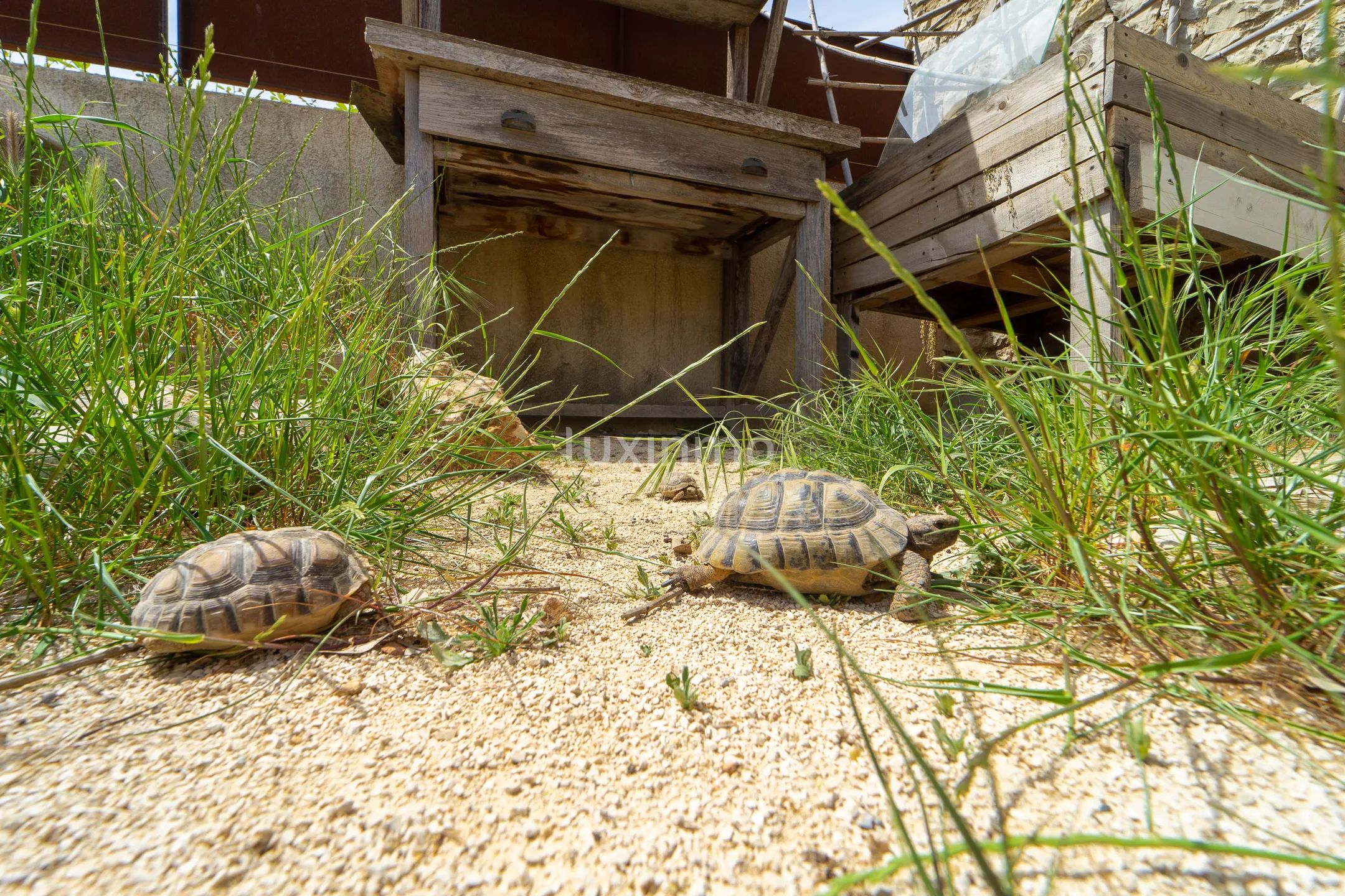 Vakker rustikk enebolig med fjellutsikt og nær elven — photo 58