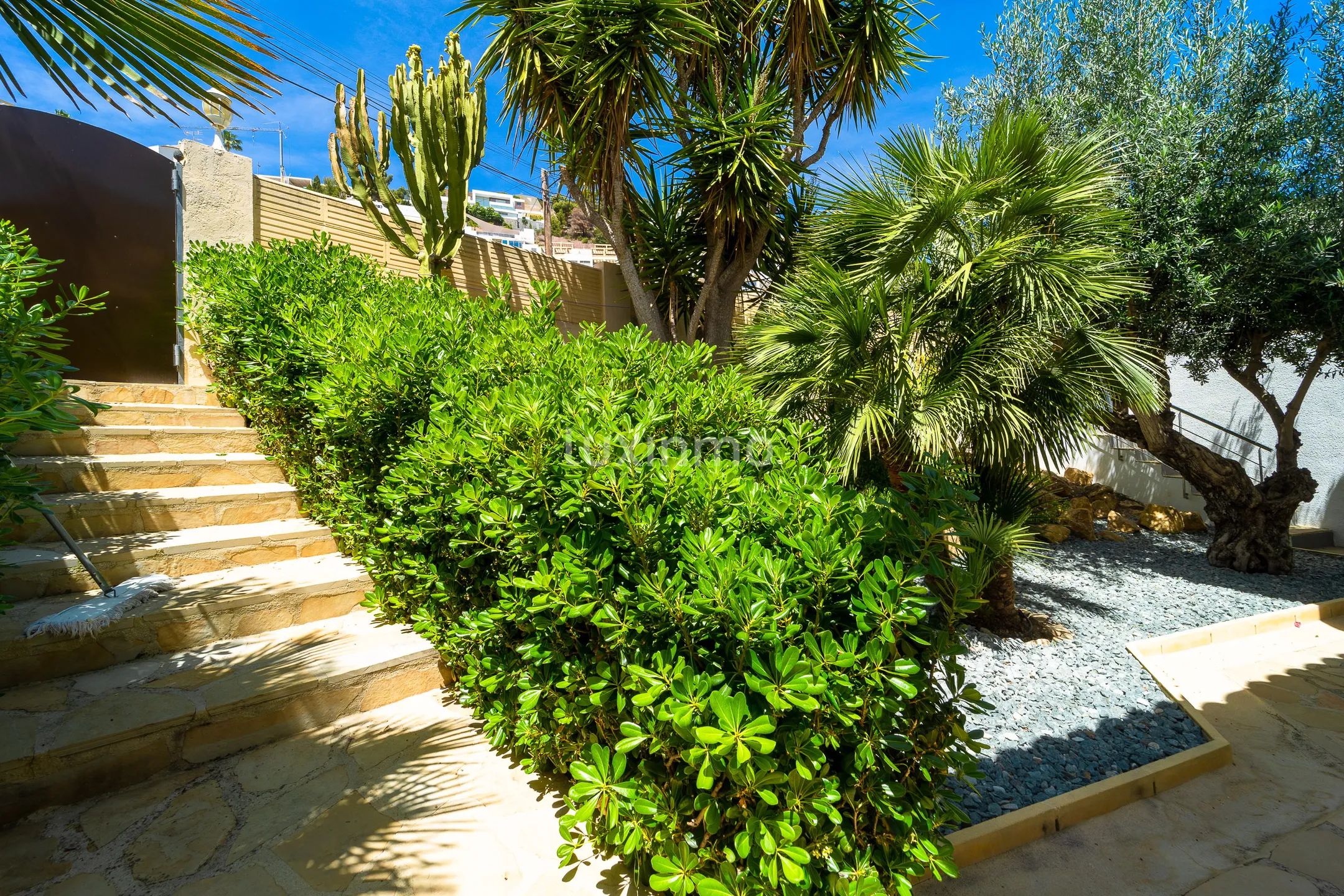Luxurius colonial style detached house in Calpe, Alicante — photo 47