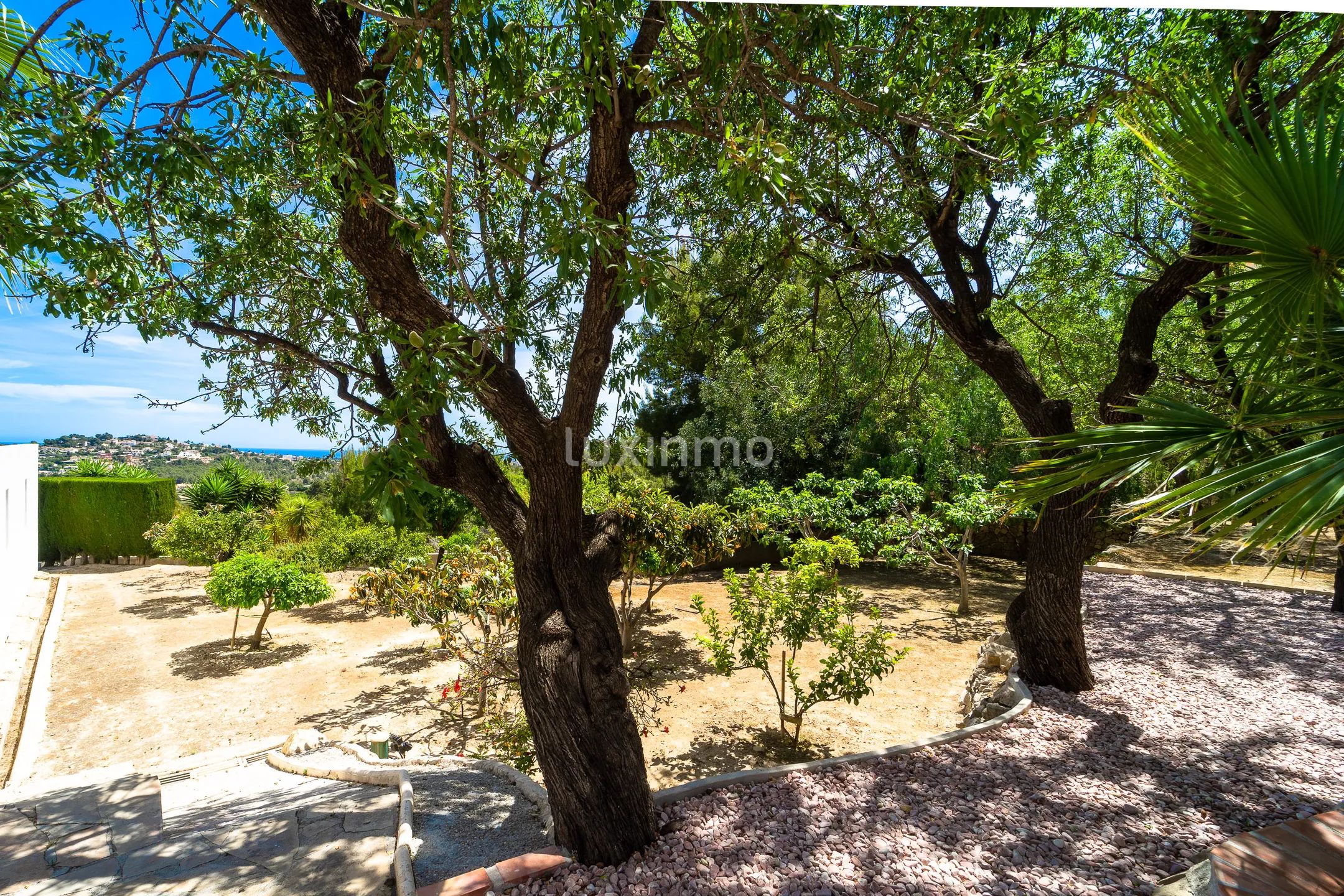 Luxurius colonial style detached house in Calpe, Alicante — photo 53