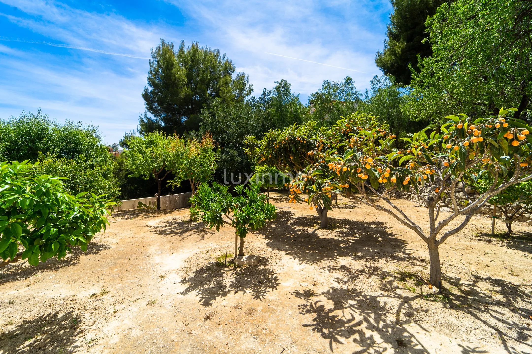 Luxurius colonial style detached house in Calpe, Alicante — photo 54