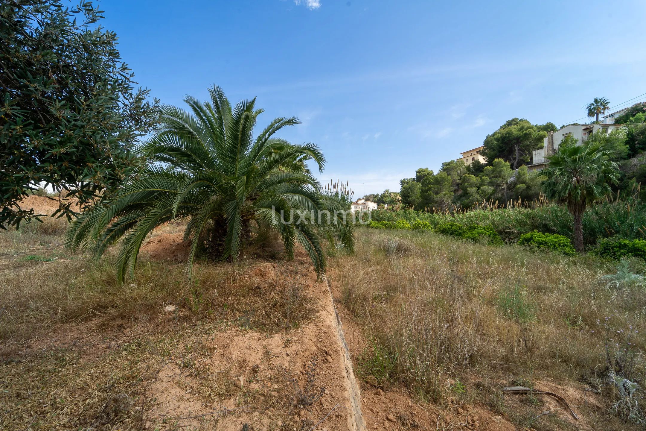 Gigantesca parcela en Benissa dividida en 4 segregaciones — photo 12