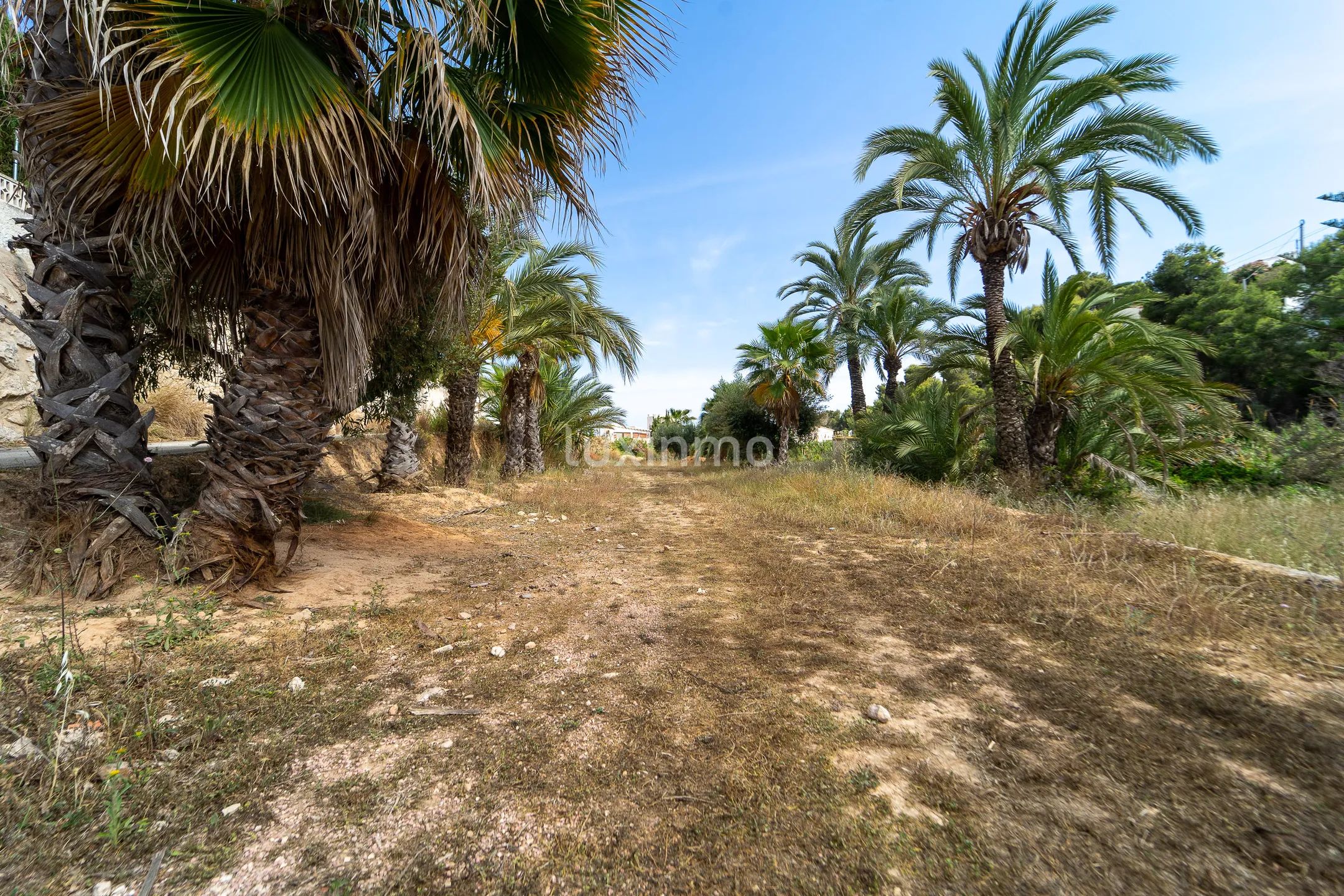 Gigantesca parcela en Benissa dividida en 4 segregaciones — photo 8