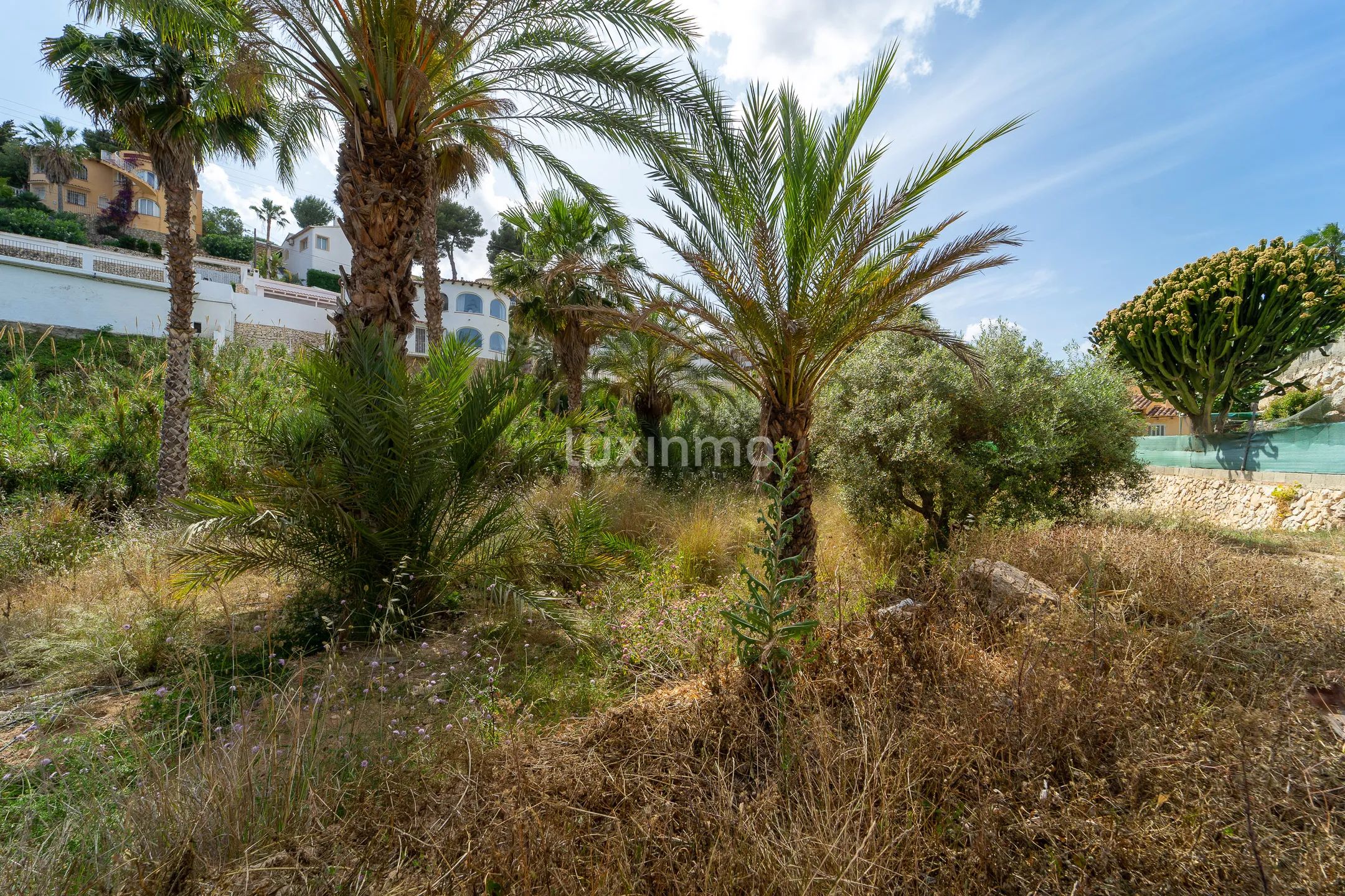 Gigantesca parcela en Benissa dividida en 4 segregaciones — photo 14