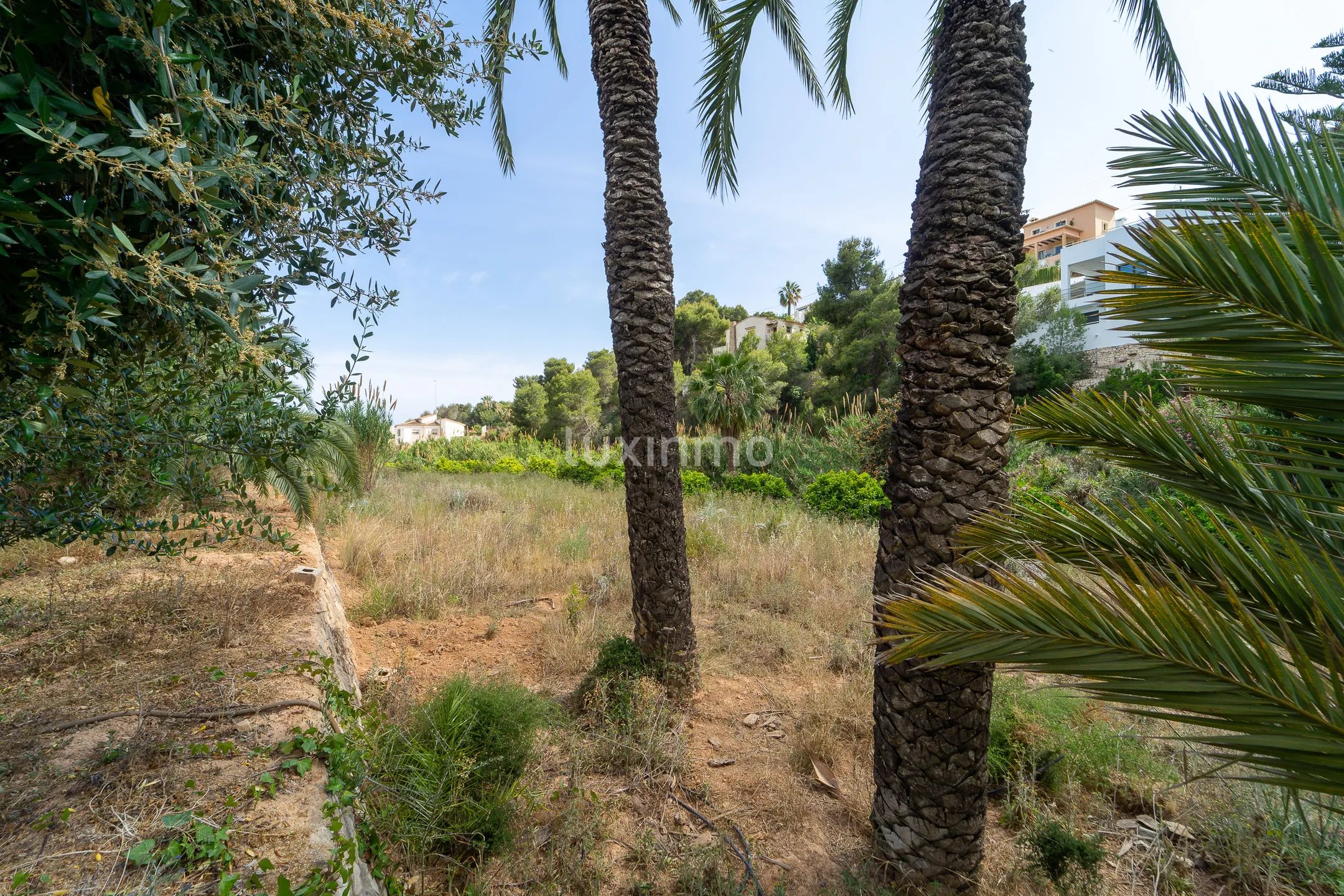 Gigantesca parcela en Benissa dividida en 4 segregaciones — photo 10