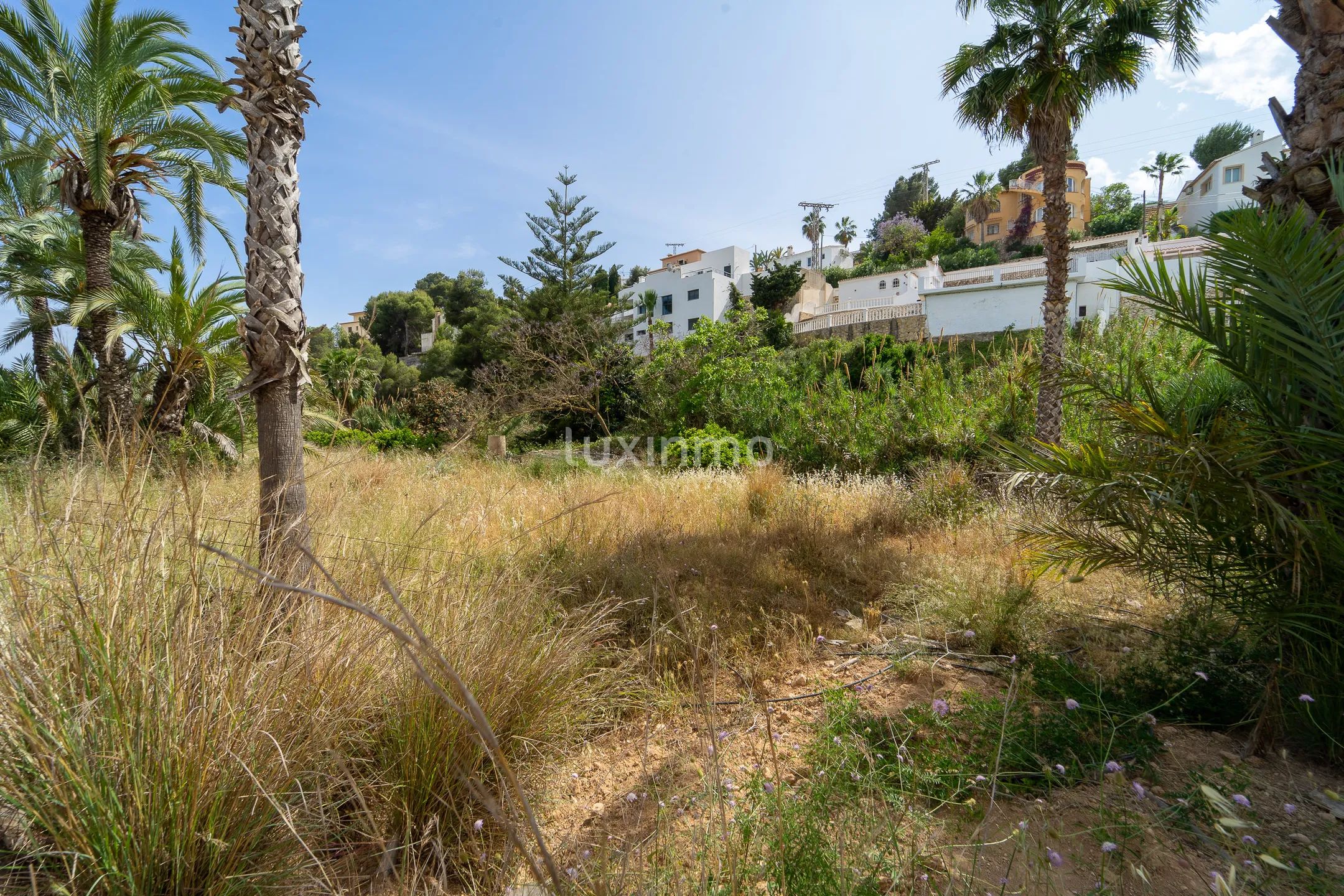 Gigantesca parcela en Benissa dividida en 4 segregaciones — photo 9