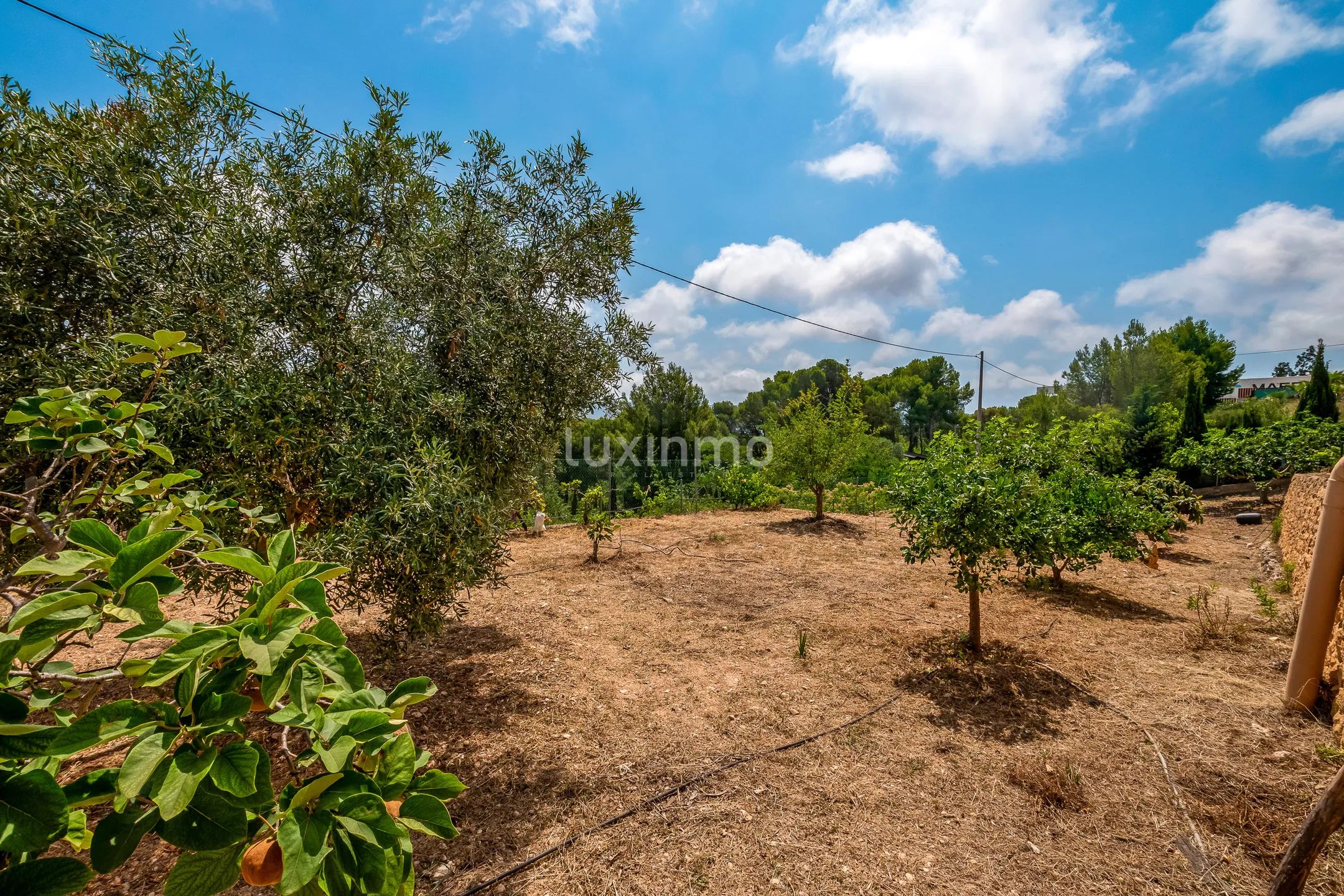 Einzigartige Villa zum Verkauf in Benidorm mit herrlichem Blick — photo 39
