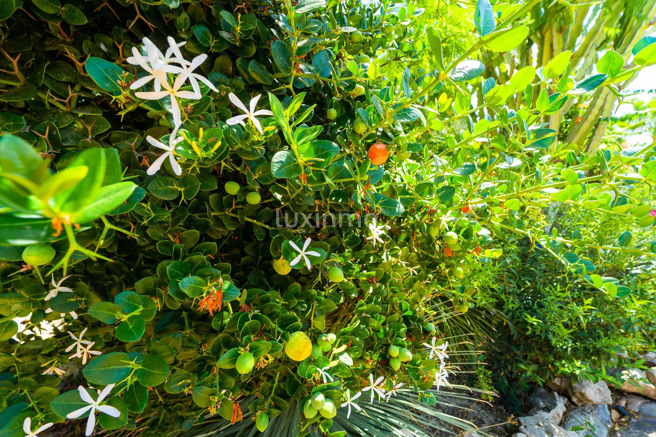 Ancienne maison de pêcheur avec vue sur la mer à Calpe — photo 58