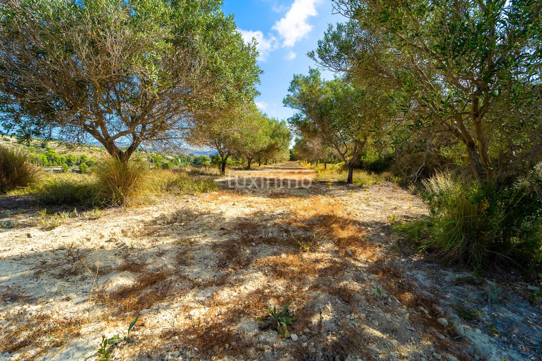 Rustikales Baugrundstück mit Brunnen, Wasser und Strom in Benissa — photo 4