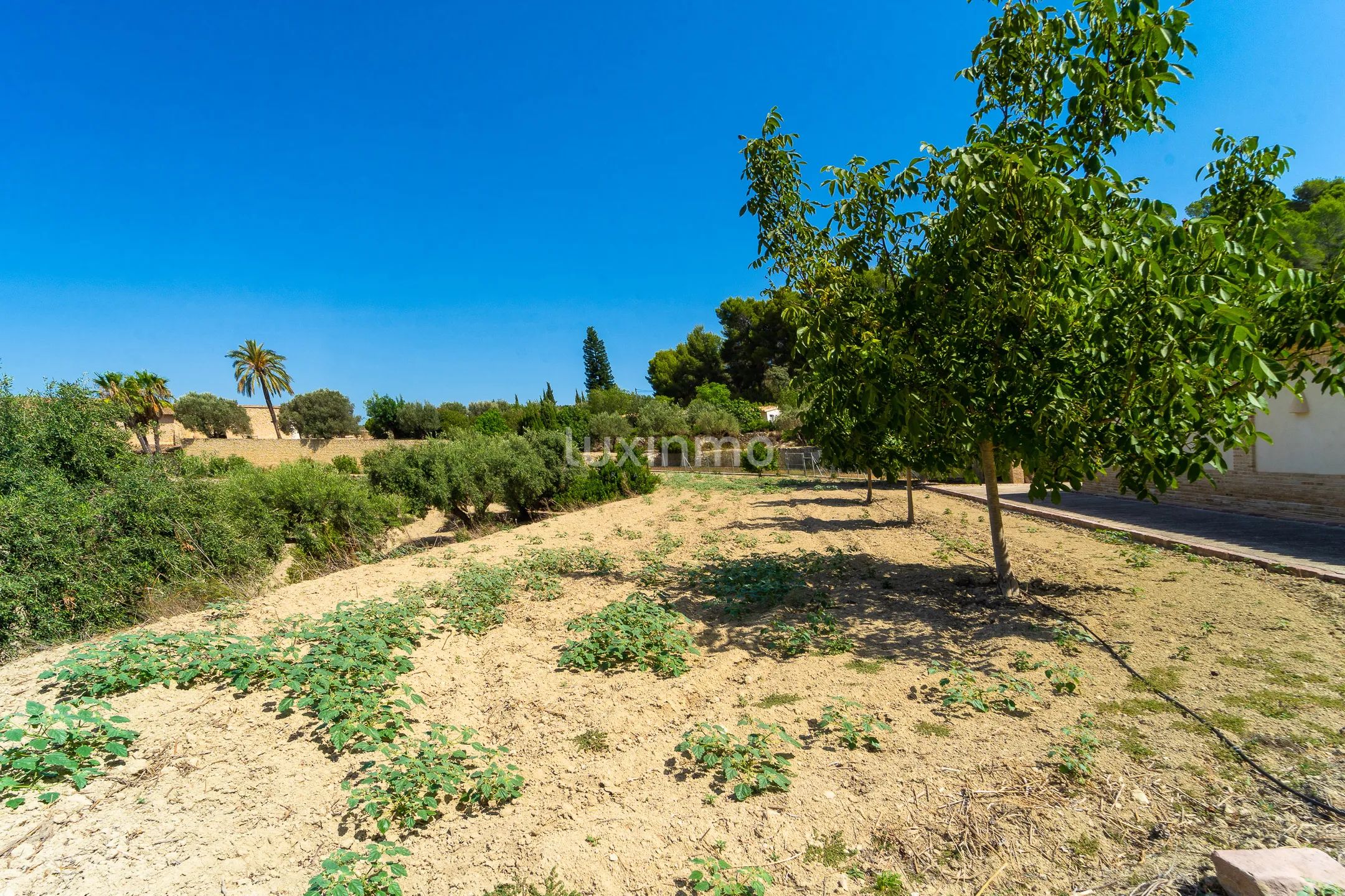 Rustiek vrijstaand huis met prachtig uitzicht in Benissa — photo 67