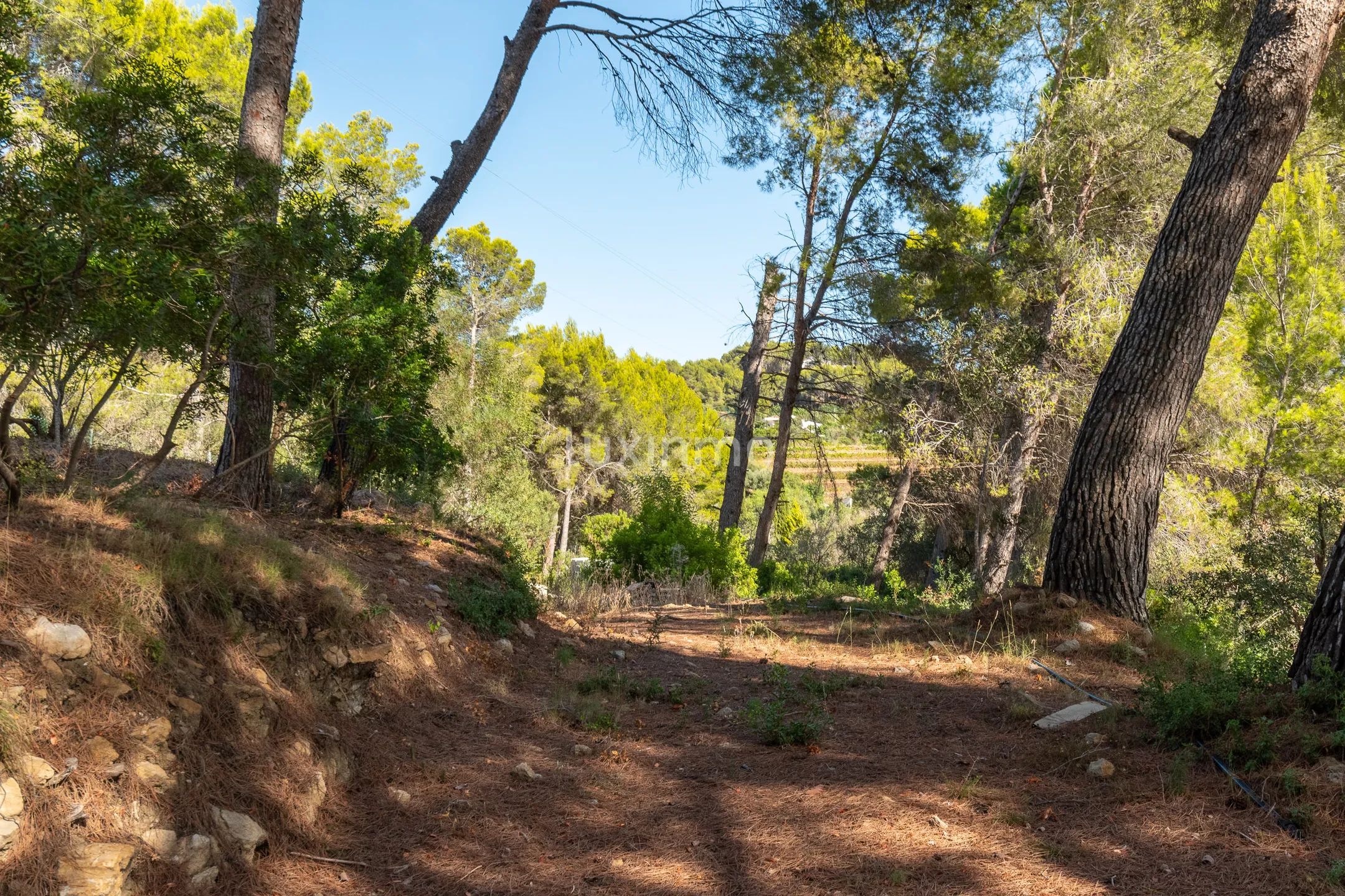 Chalet en venta con piscina privada en La Sella, Dénia — photo 23