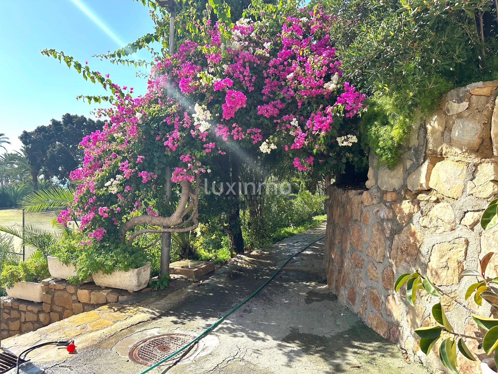 Appartement avec vue sur la mer à louer à Montiboli — photo 16