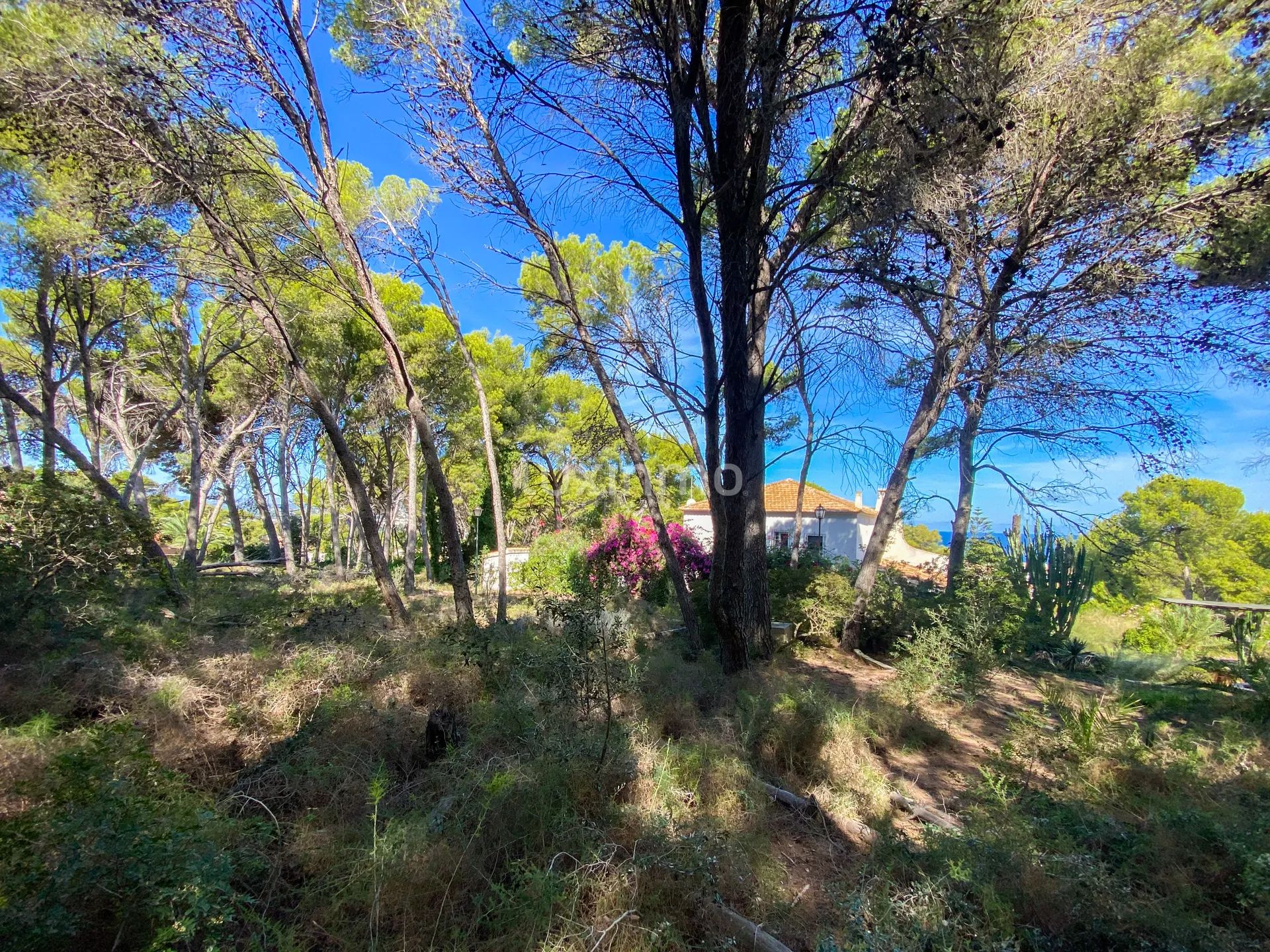 Encantadora casa rústica con vistas al mar en Jávea — photo 23