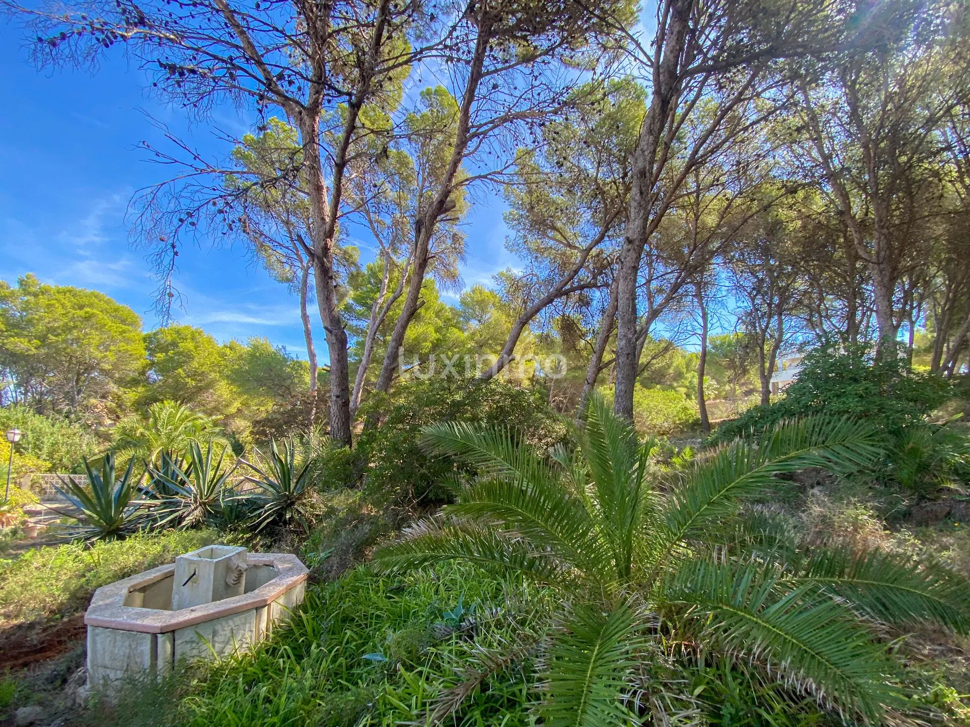 Encantadora casa rústica con vistas al mar en Jávea — photo 24