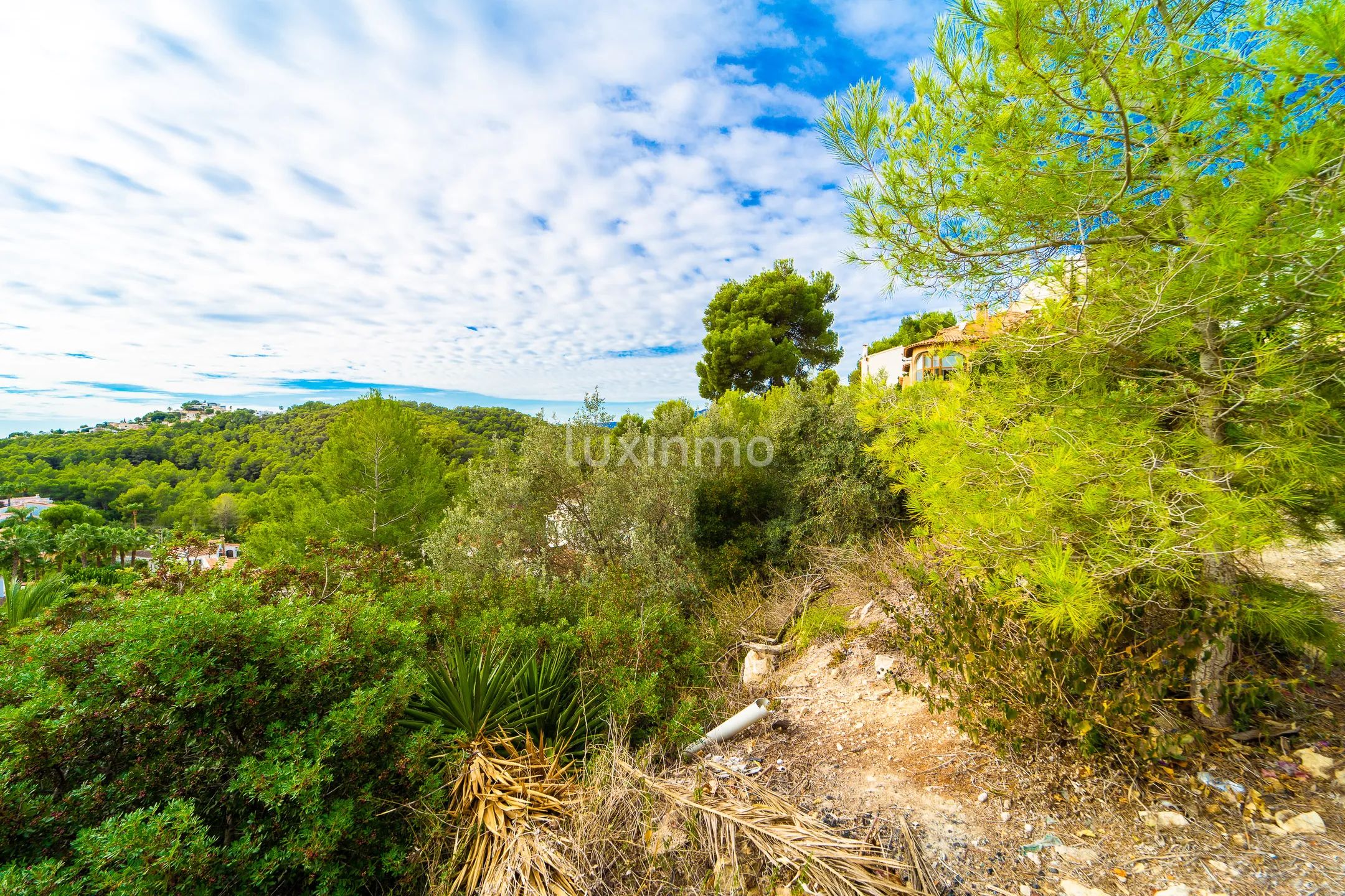Fantastisk byggbar tomt i Moraira med fjell- og havutsikt — photo 4