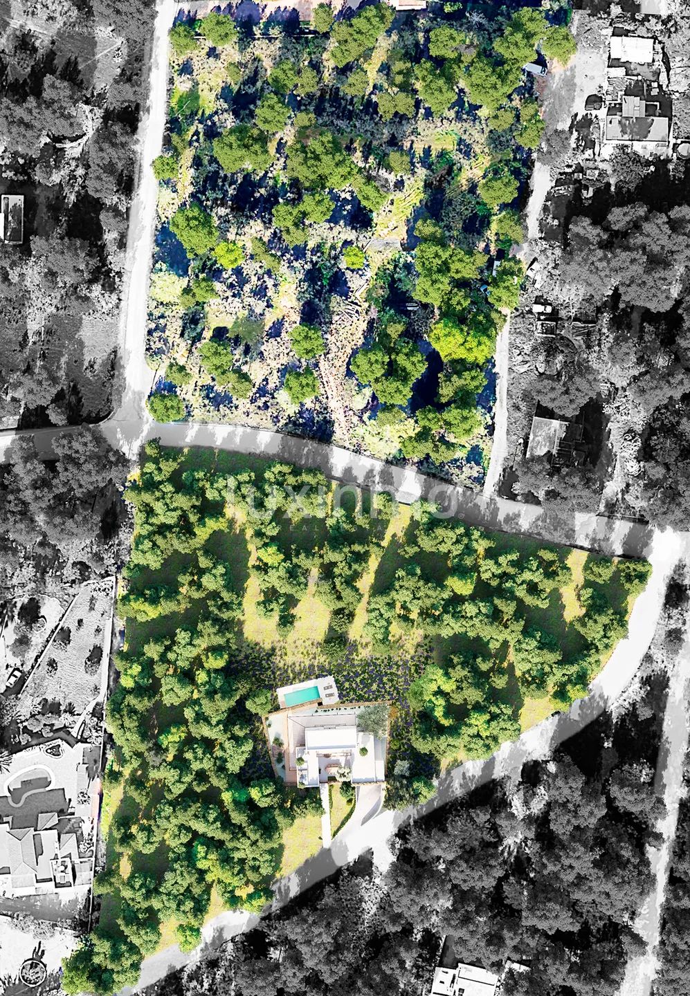 Charmant project met uitzicht op zee in Sant Agustí — photo 8