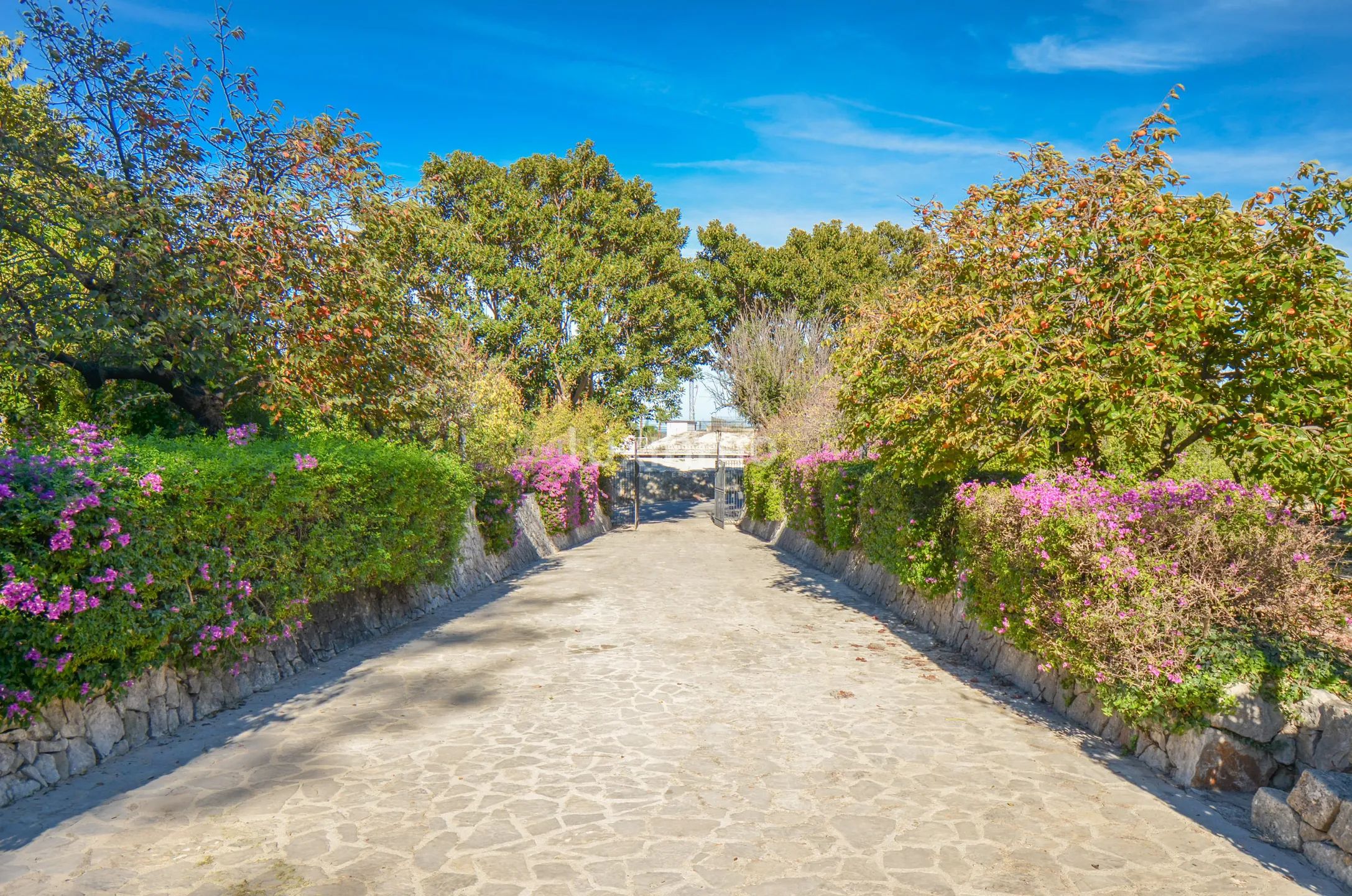 Urocza kolonialna finca na sprzedaż w Pego — photo 4