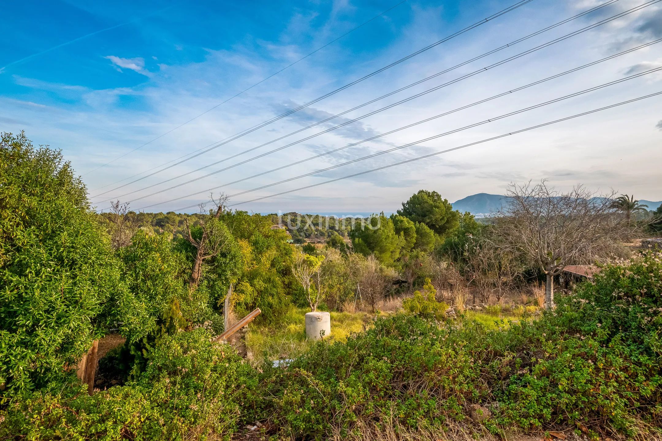 Urocza, odnowiona Finca z 4 sypialniami w La Nucia — photo 34