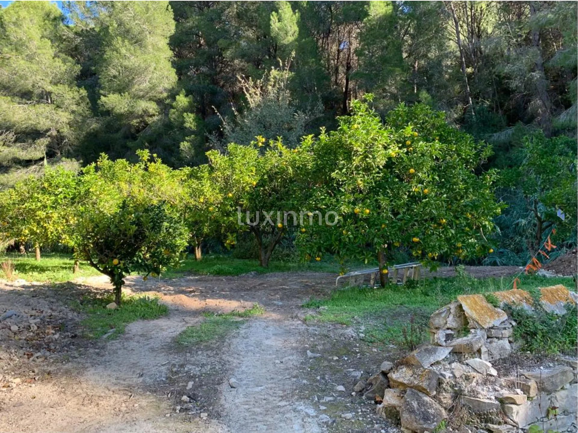 Rustic plot with breathtaking sea and mountain views in Benissa — photo 5
