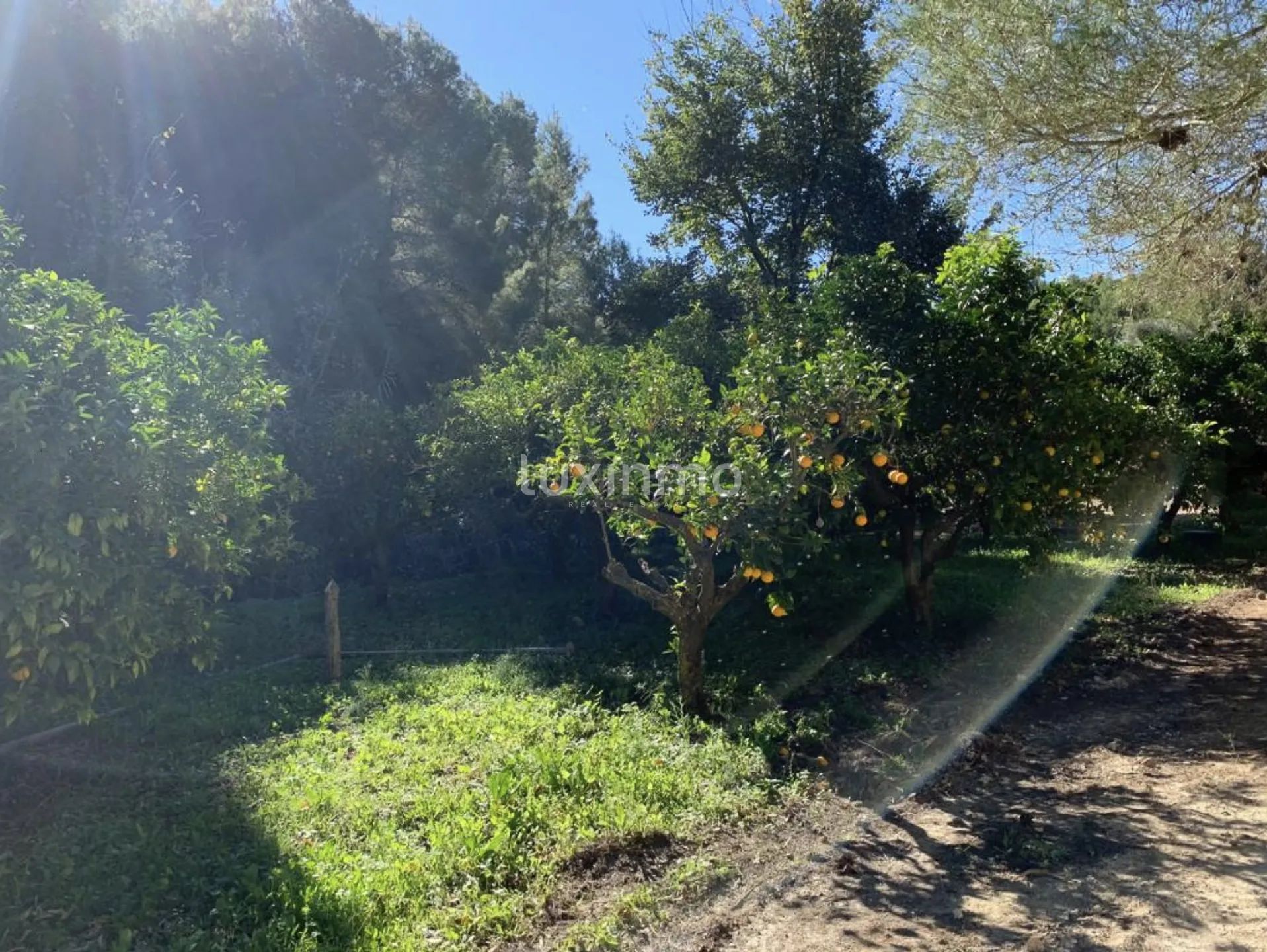 Rustic plot with breathtaking sea and mountain views in Benissa — photo 4