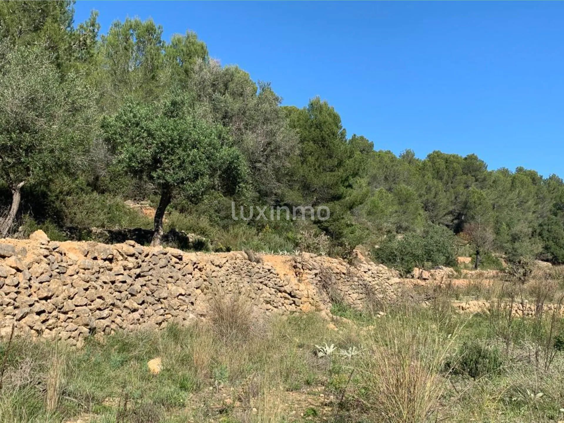 Uniek rustiek perceel in Benissa - Rustig wonen op het platteland — photo 1