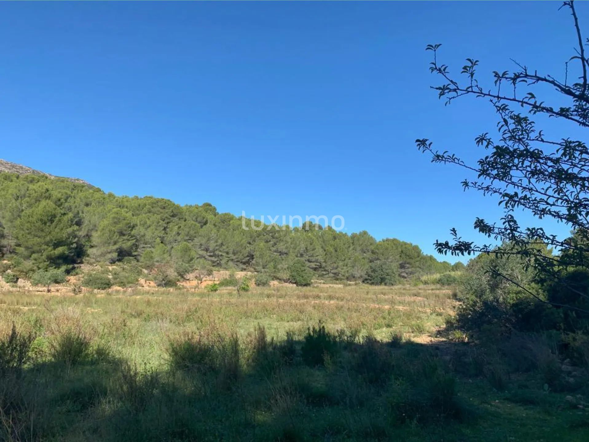 Uniek rustiek perceel in Benissa - Rustig wonen op het platteland — photo 3