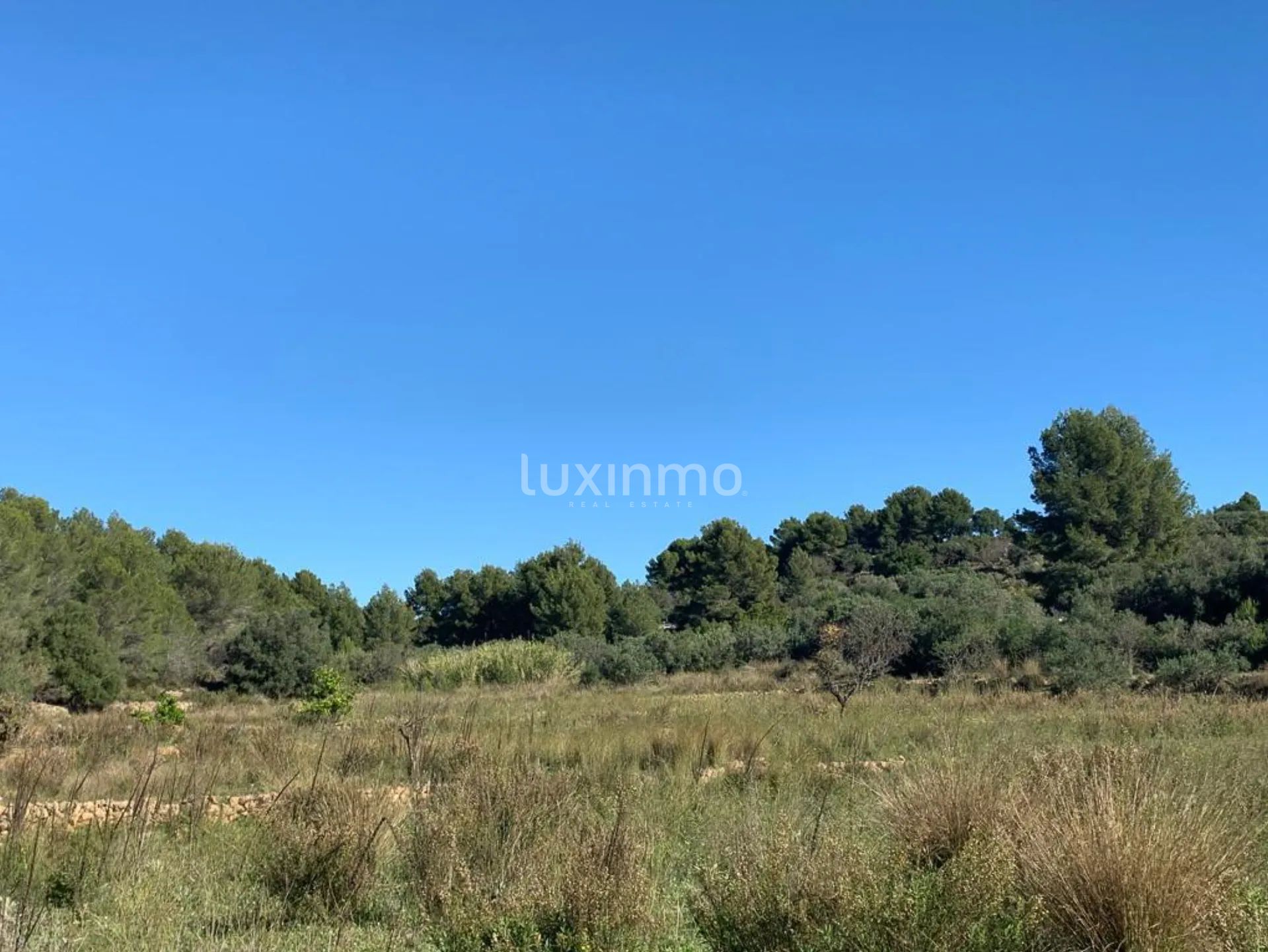 Uniek rustiek perceel in Benissa - Rustig wonen op het platteland — photo 2