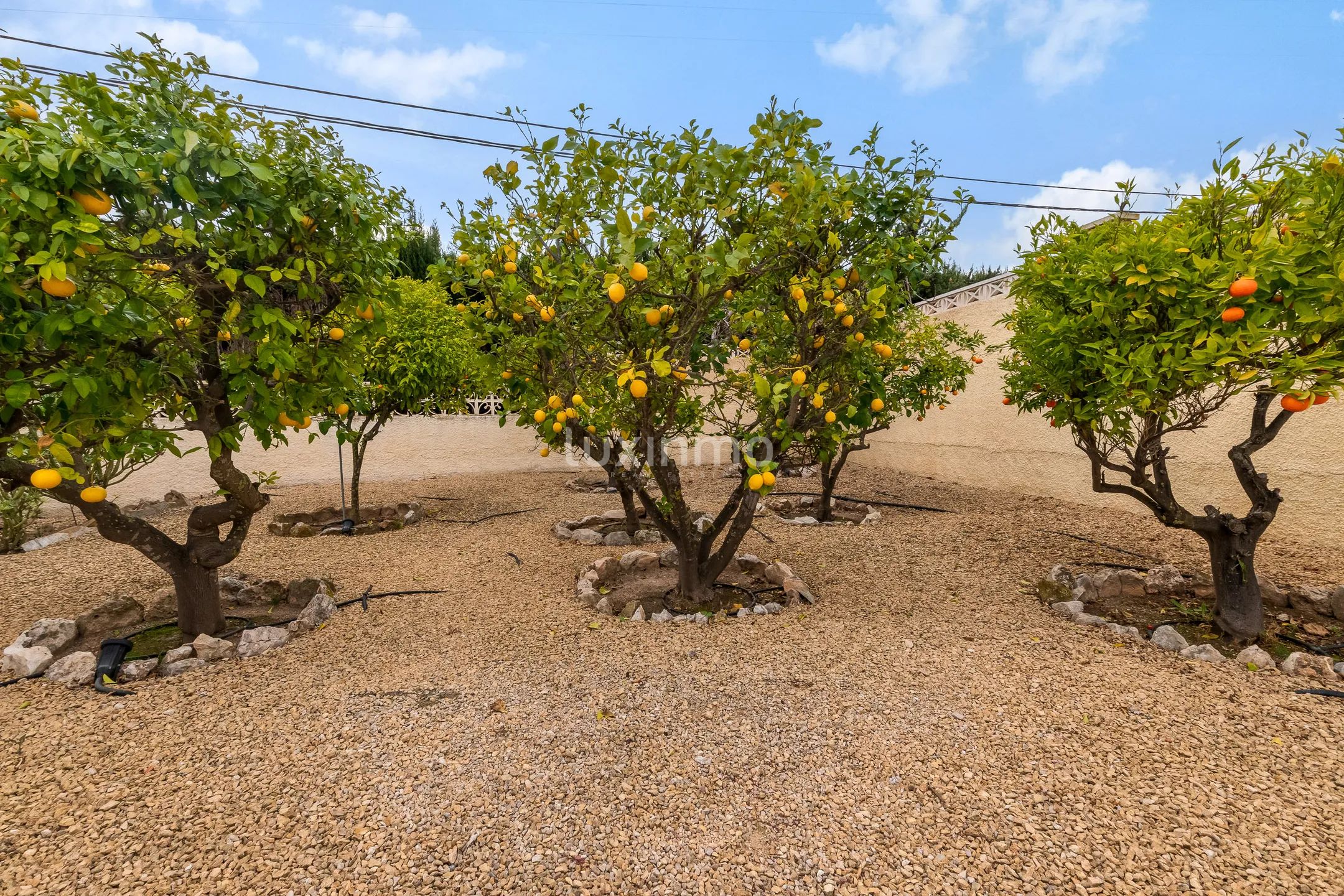 Очаровательный дом с потрясающим внутренним двором и бассейном в Альфас-дель-Пи — photo 33