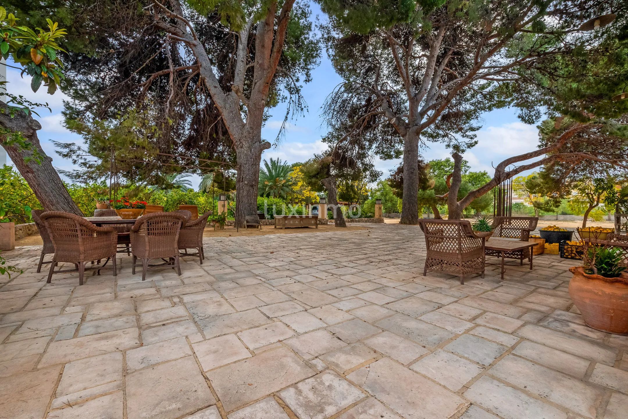 Finca reformada con casa de invitados y piscina en Mutxamel — photo 46